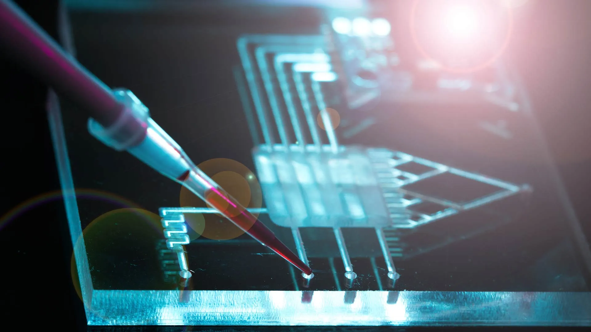 Premia MIT a mexicano por contribuciones en medicina y nanotecnología