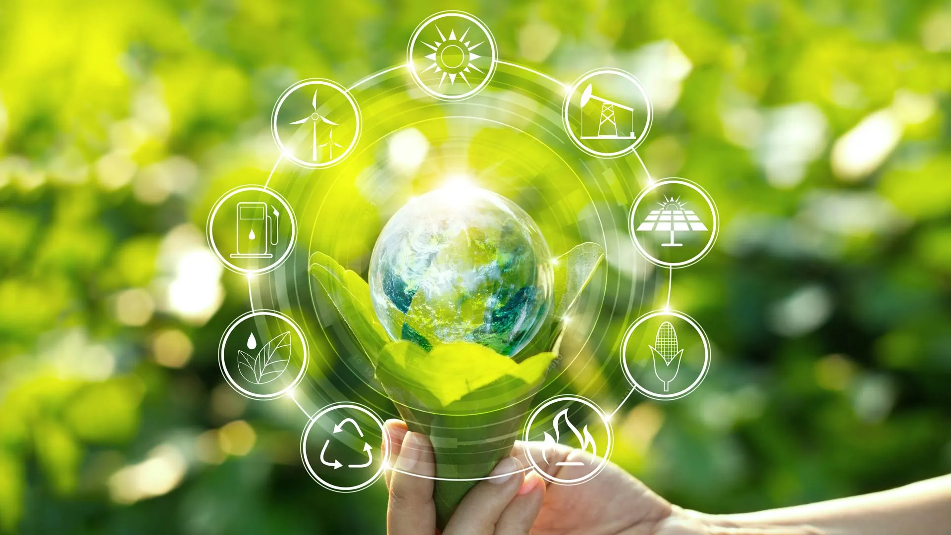 Tec se une a pacto global de universidades contra cambio climático