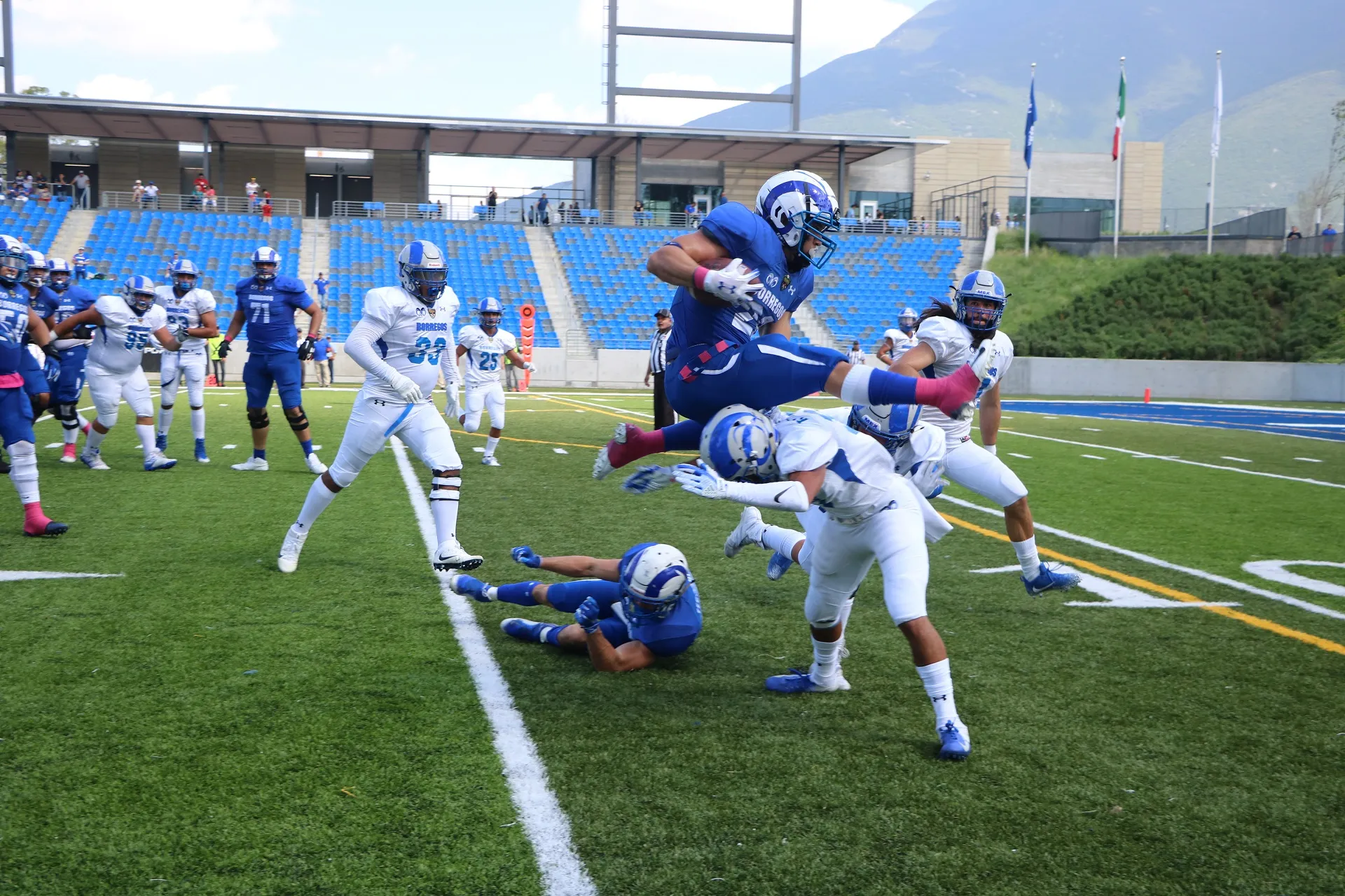 BorregosMonterrey-México