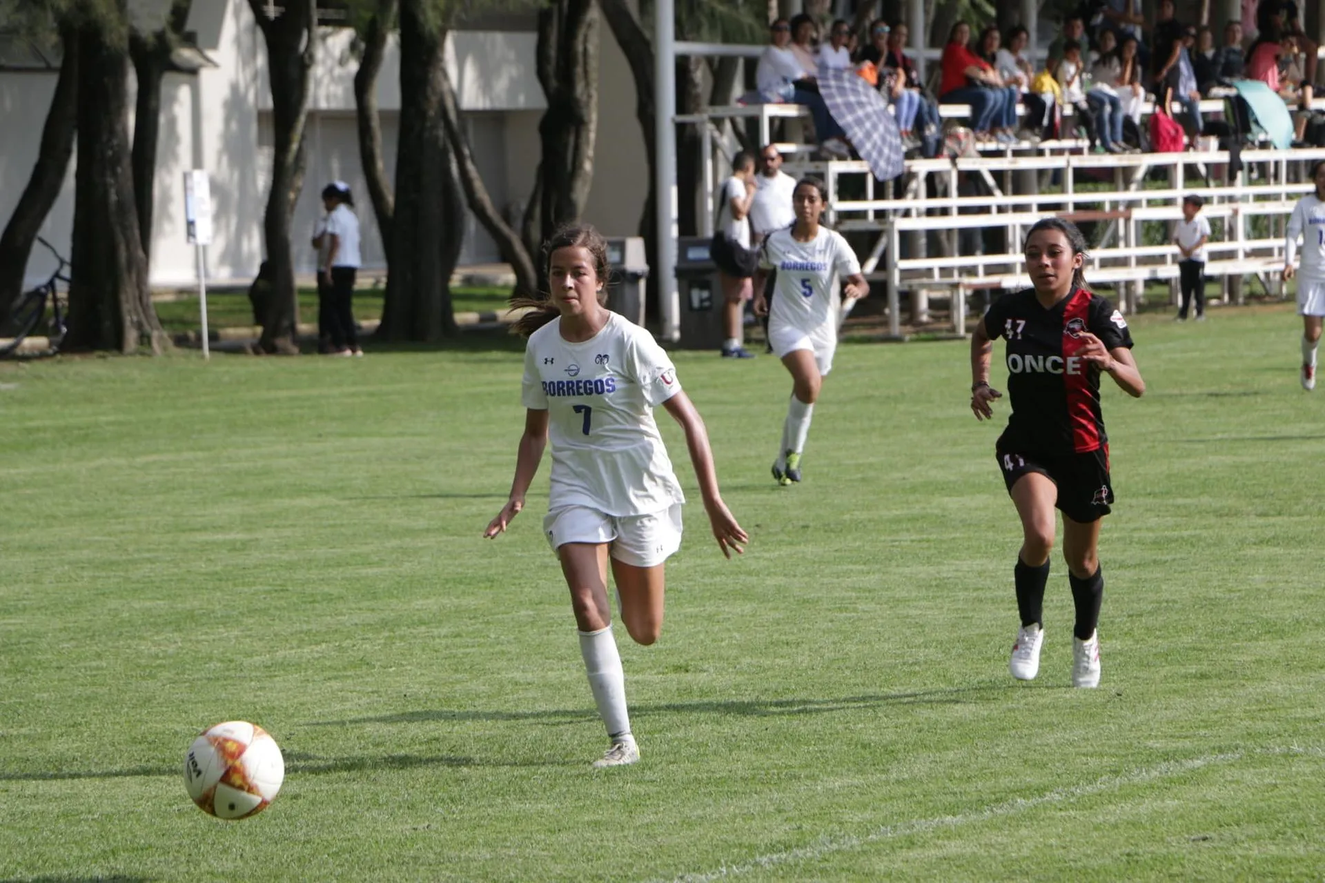 Futbol soccer Juvenil B