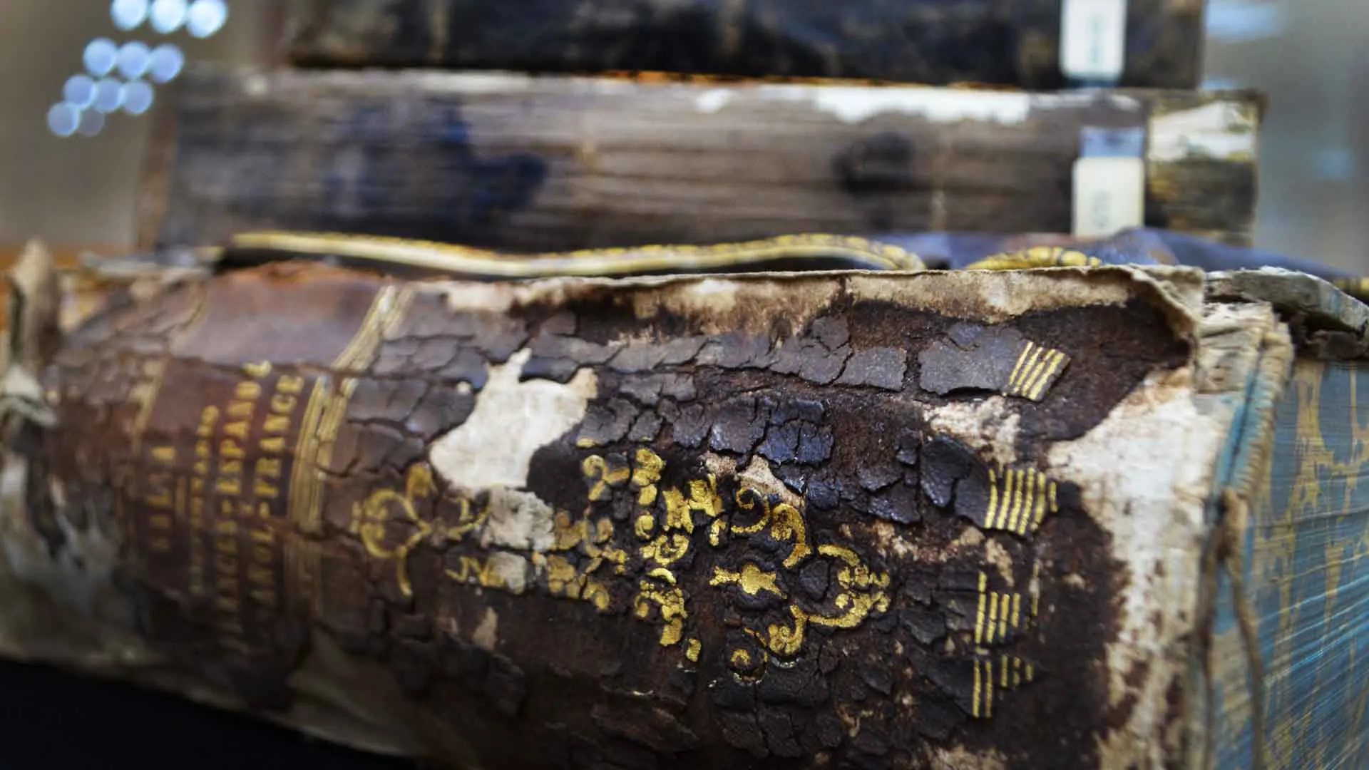 viaje-en-el-tiempo-tour-de-libros-con-mucha-historia