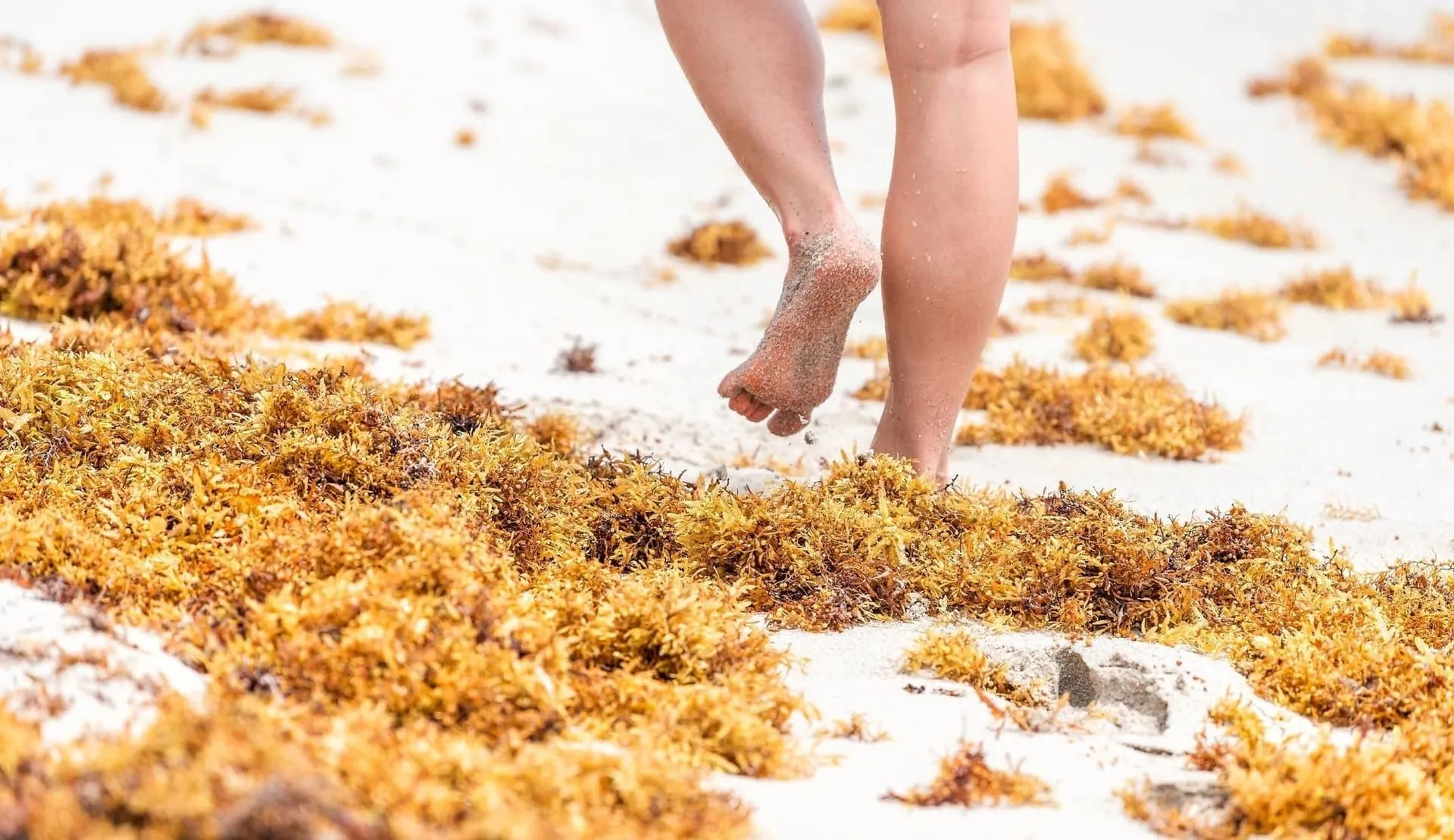 3 proyectos ambientales del Tec destacan en final nacional de Hult Prize