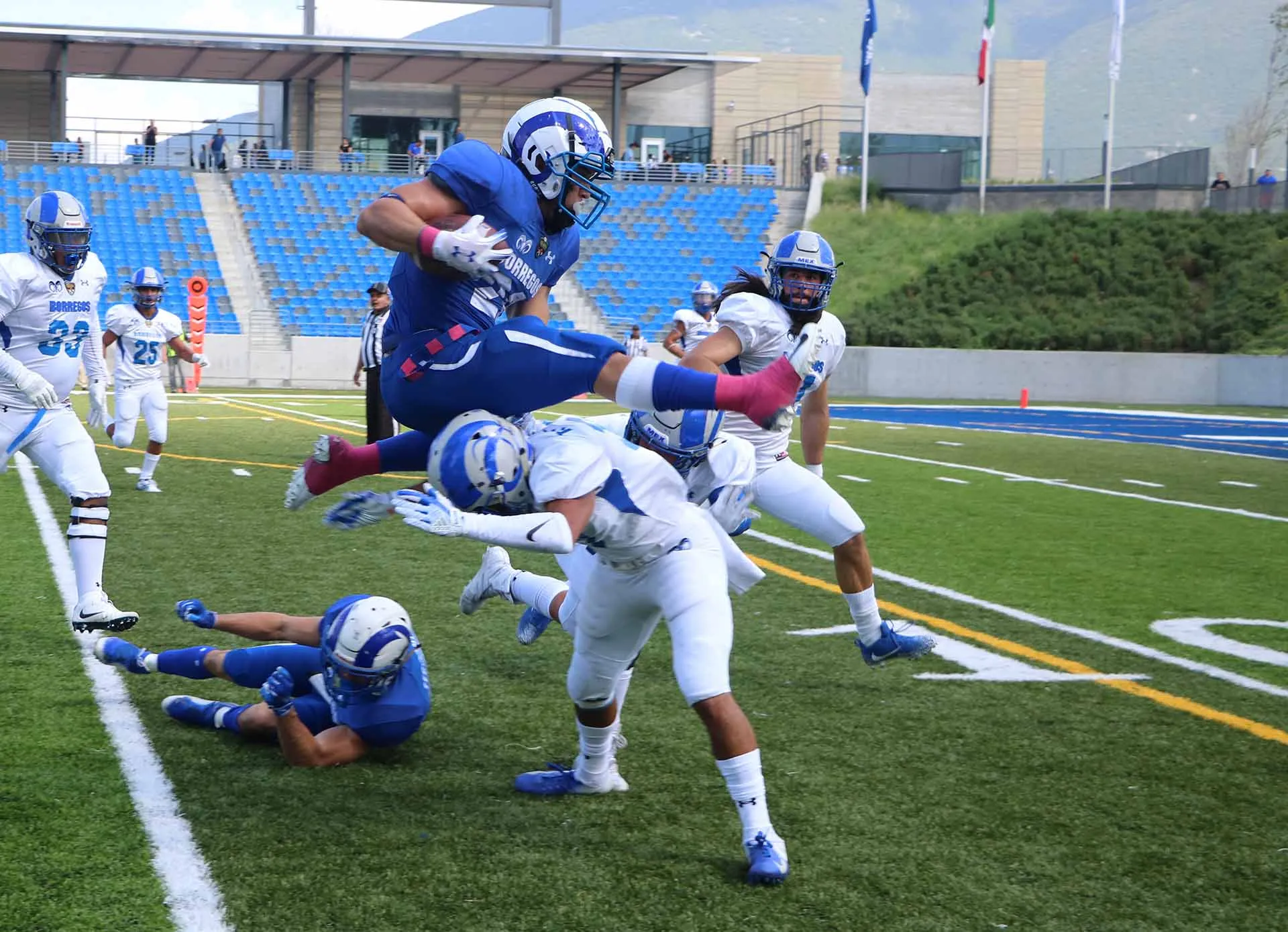 Borregos Monterrey permanecerá invicto en casa