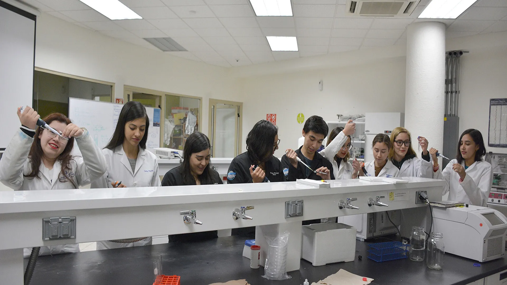 El equipo de iGEM Chihuahua realizando pruebas de laboratorio 