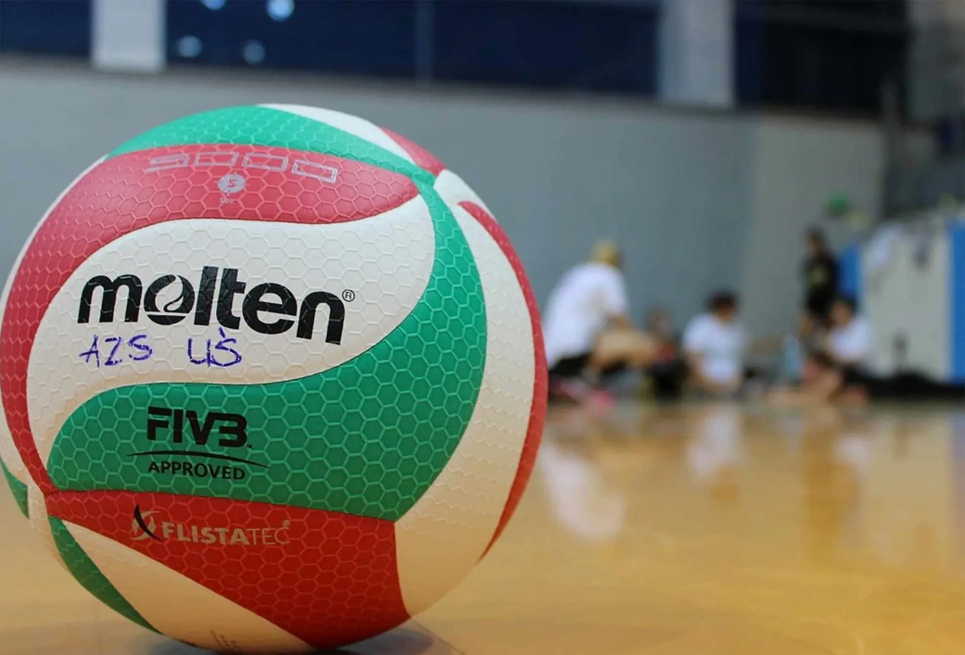 Borregas subcampeonas en volibol