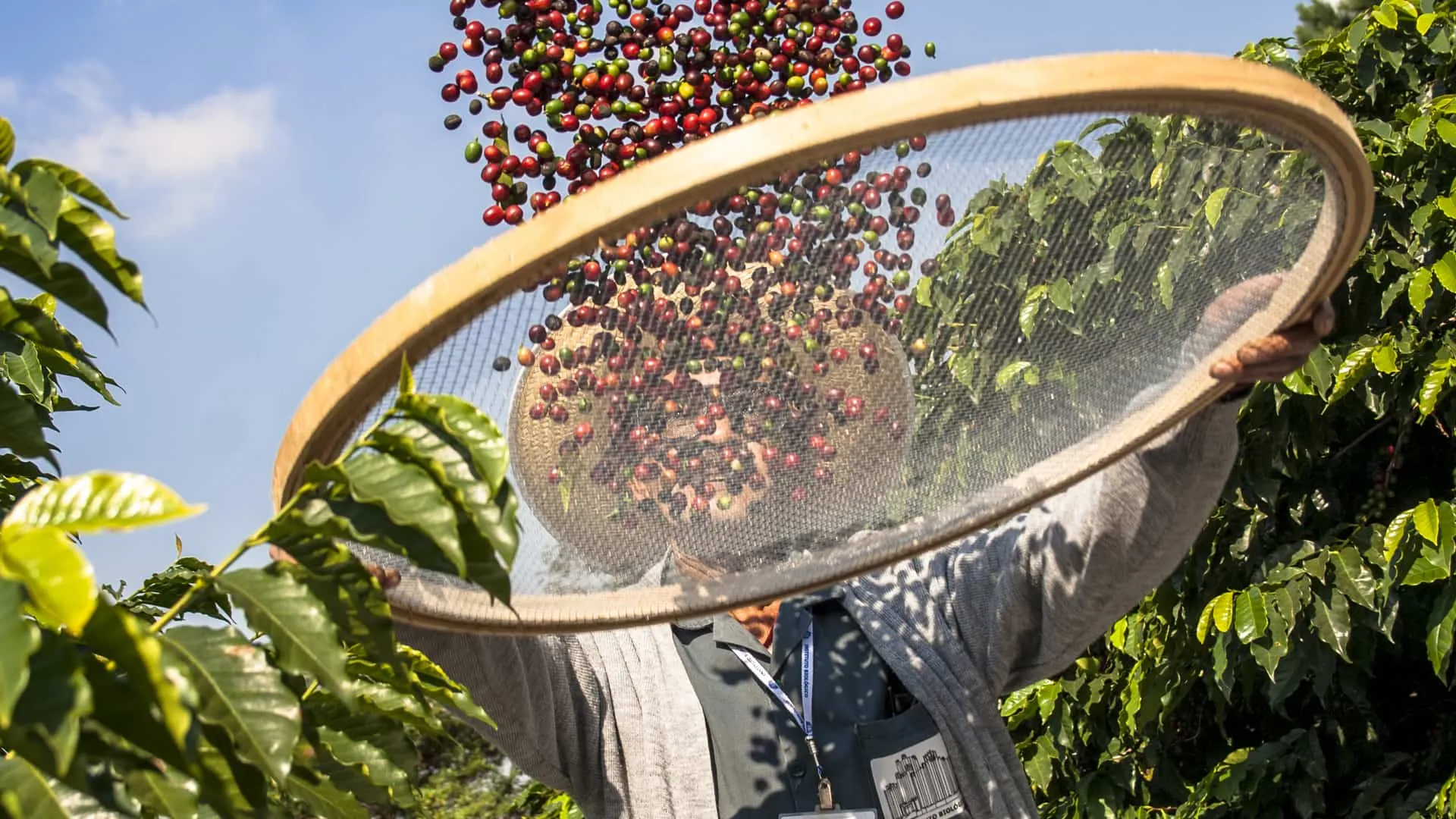 Economía Social para mejorar la cadena de valor