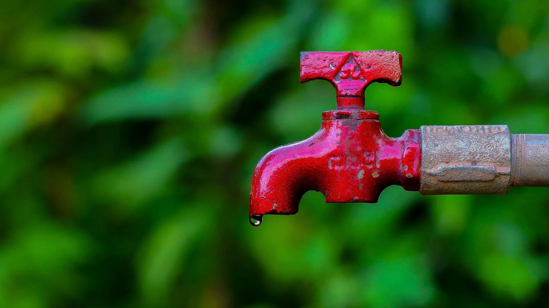 Bootcamp: Let’s Save the Water