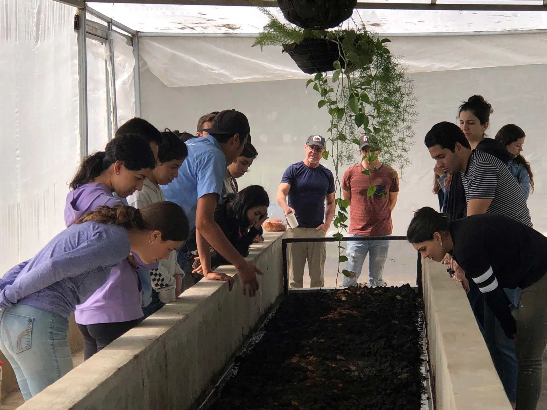 Arbolado Inteligente y Urbanismo en el Tec