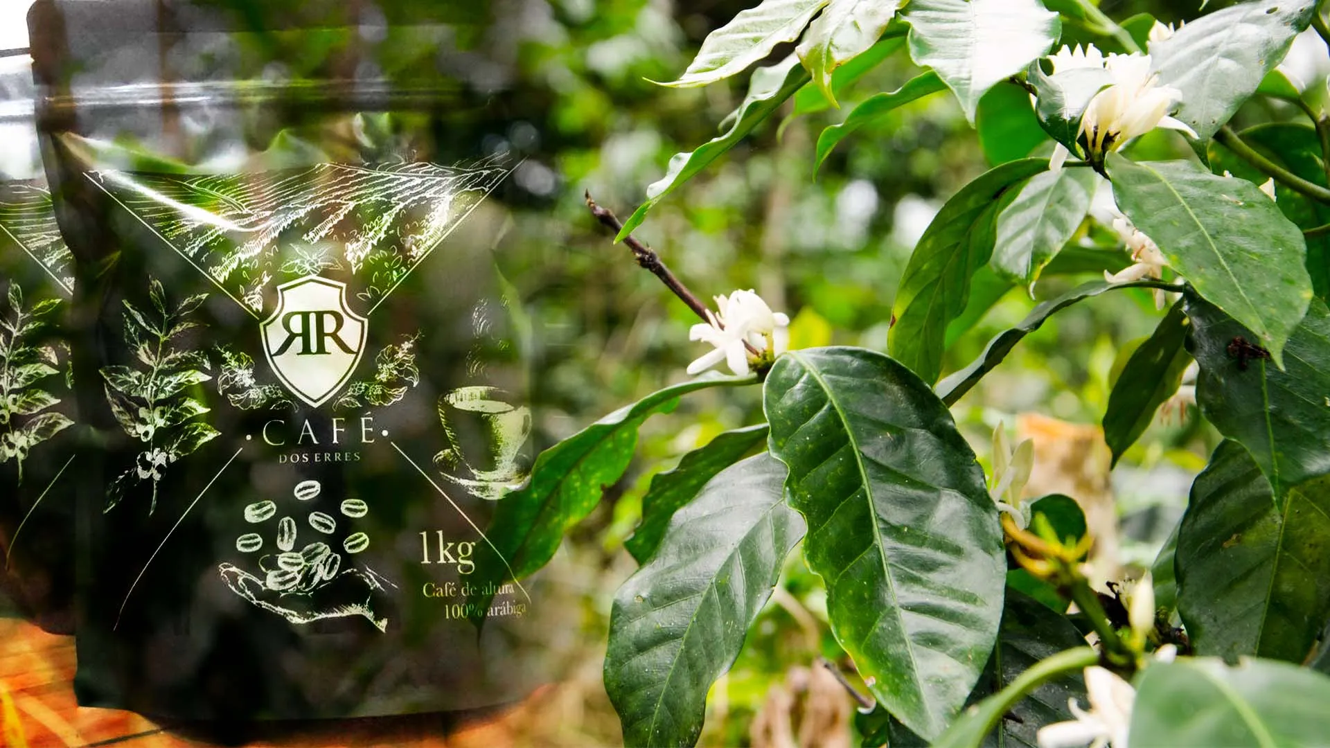 Emprendedores Tec crean su marca cafetera: Dos Erres Café