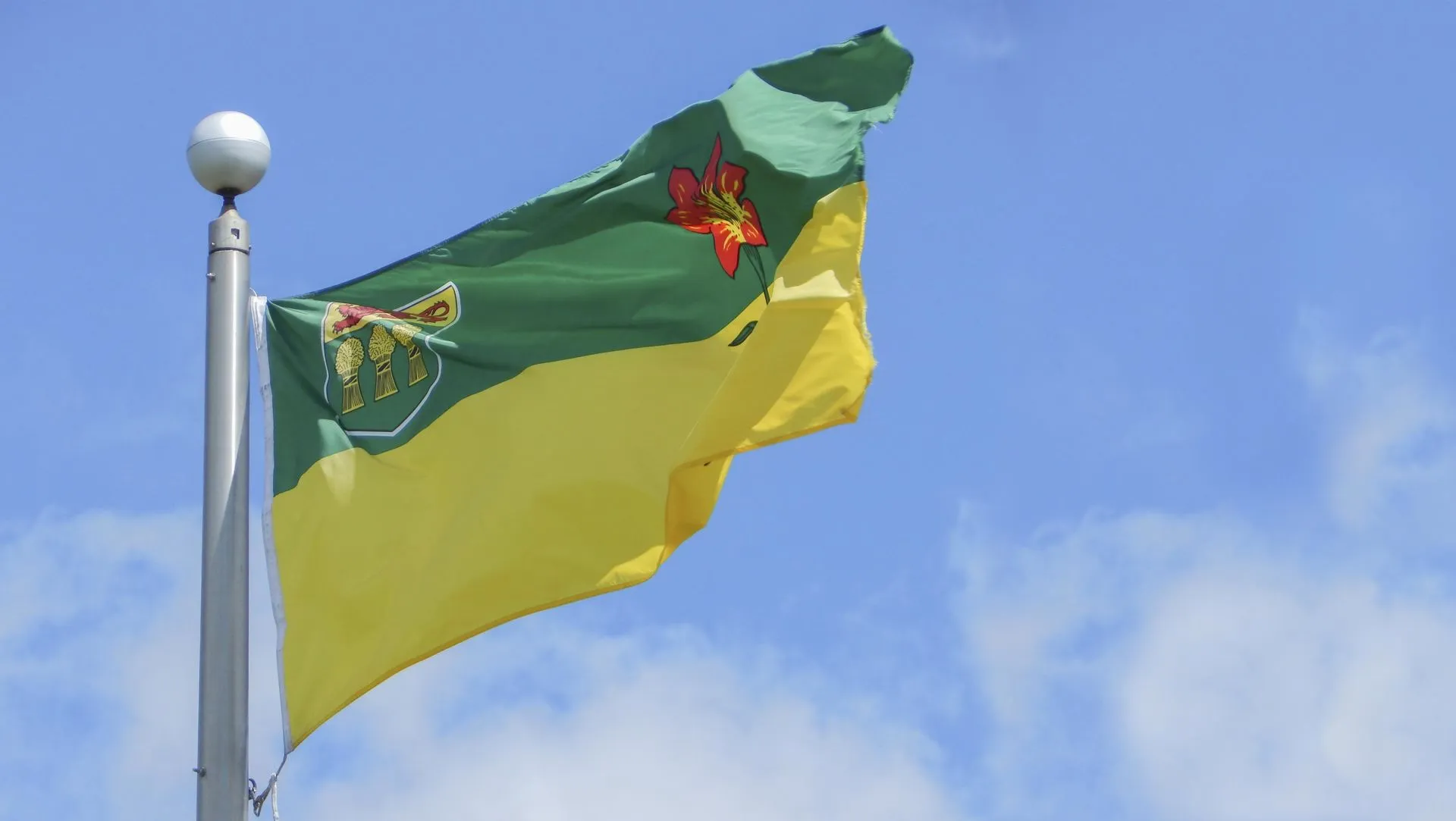 Un verano lleno de inteligencia artificial: Mitacs 