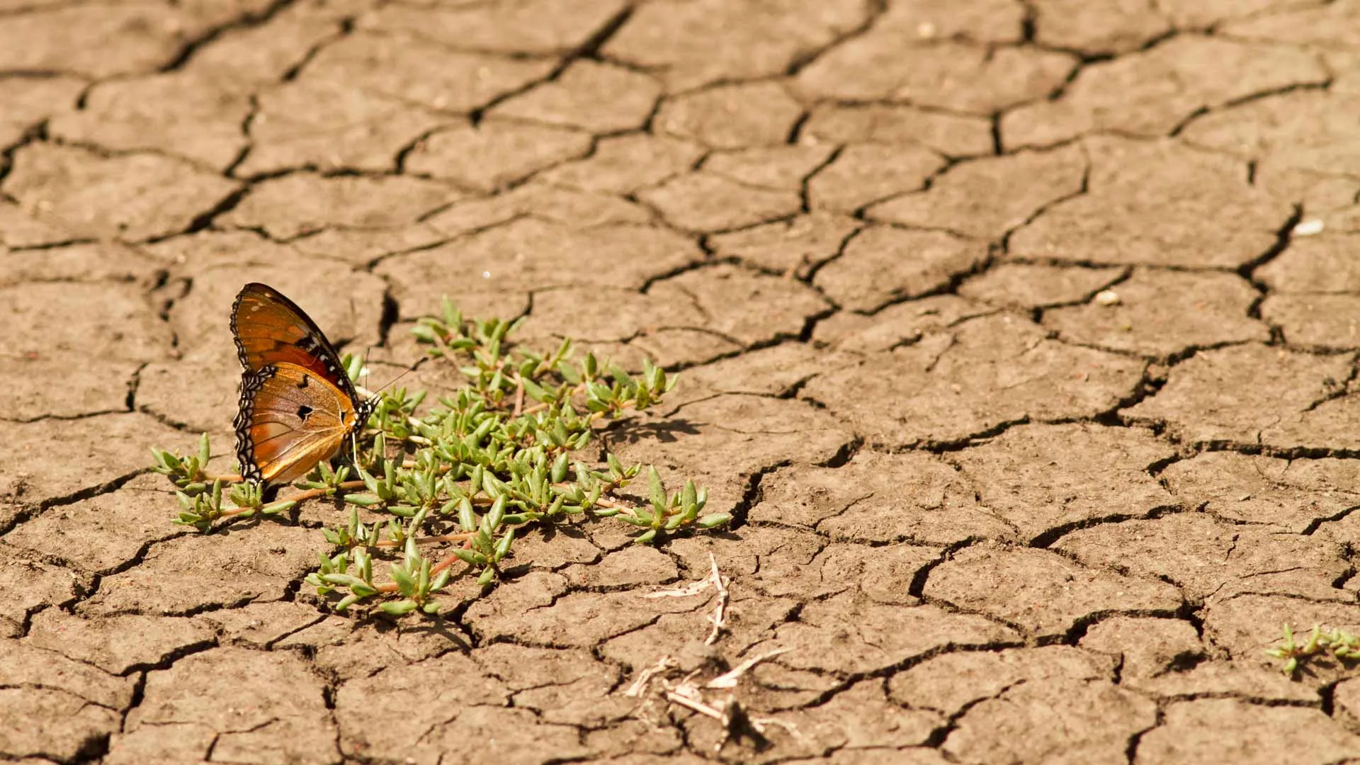Tec firma carta de universidades para luchar contra cambio climático