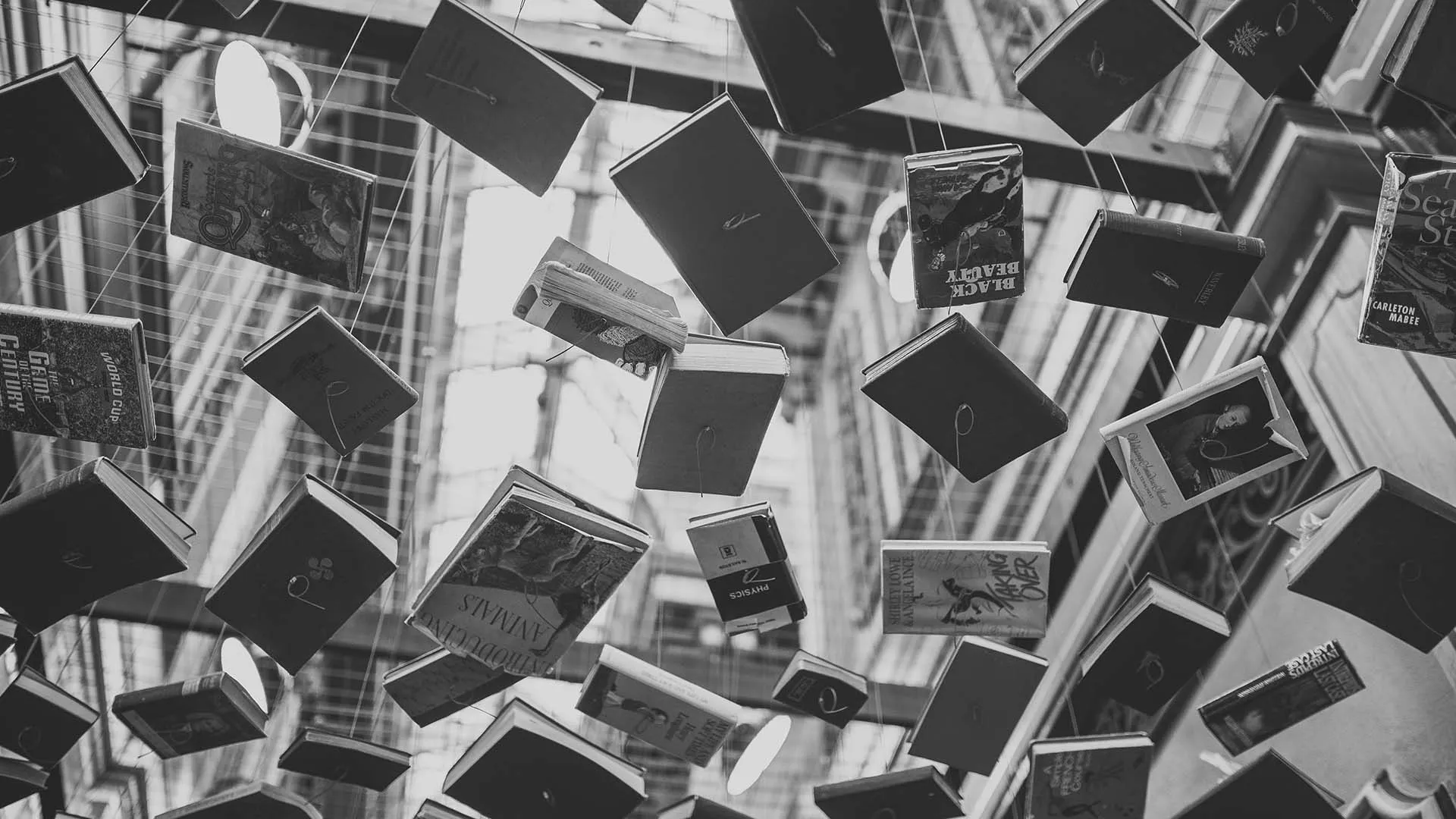 Creación y circulación literaria que une personas e historias