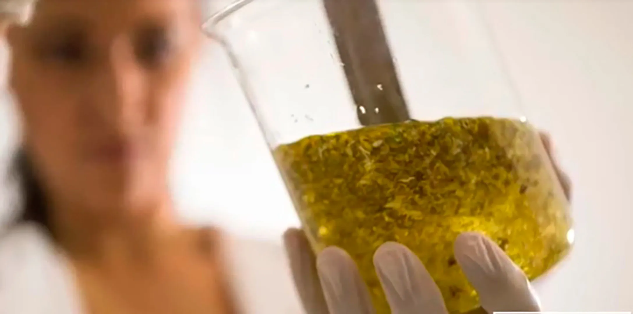 3 proyectos de emprendimiento con impacto social compitieron en Hult Prize