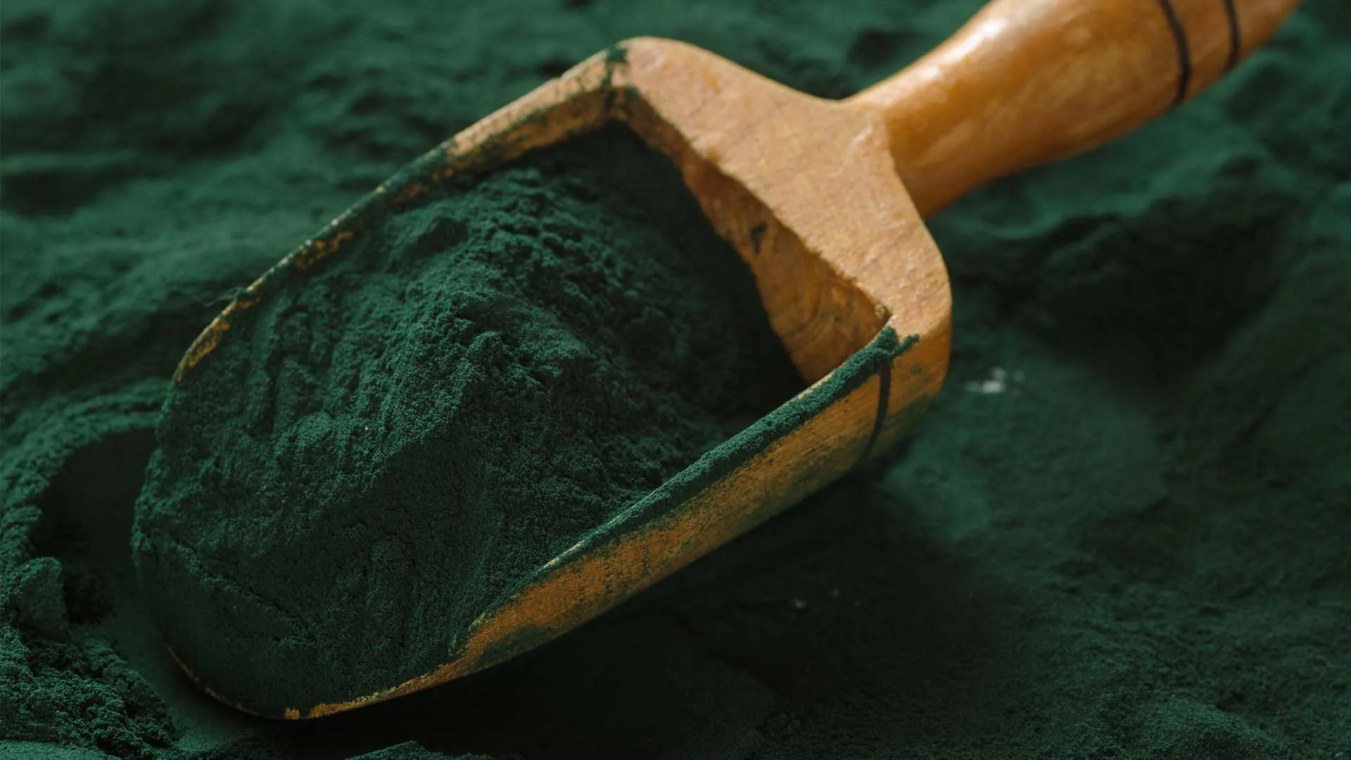 Zian: la proteína verde, orgánica y saludable