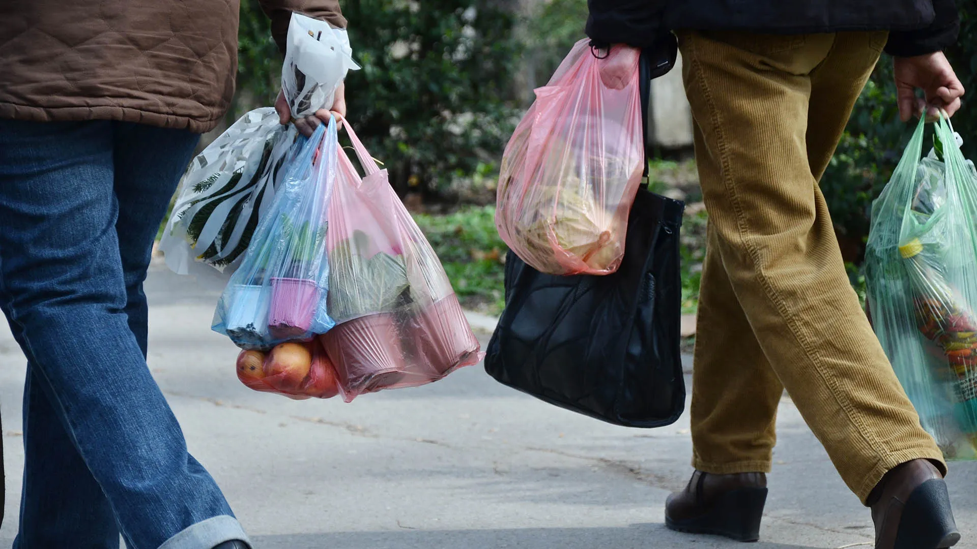Prohibición de bolsas de plástico