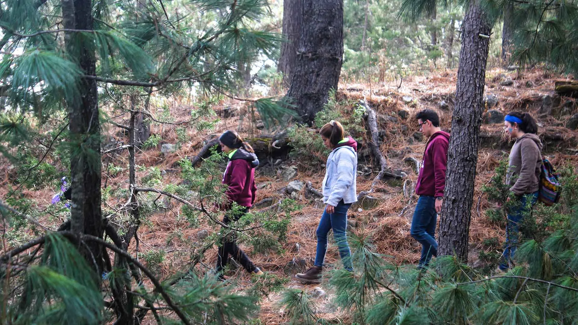El grupo Lazos Misioneros en la sierra de Durango