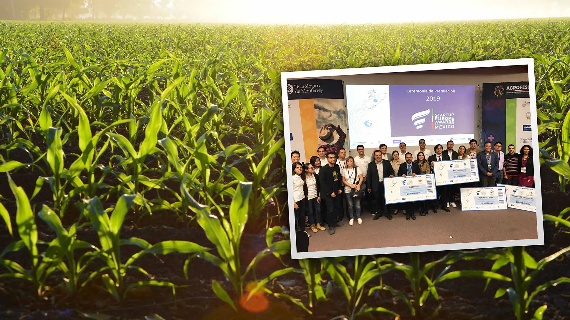 agofest, primer encuentro de agroemprendimiento en México