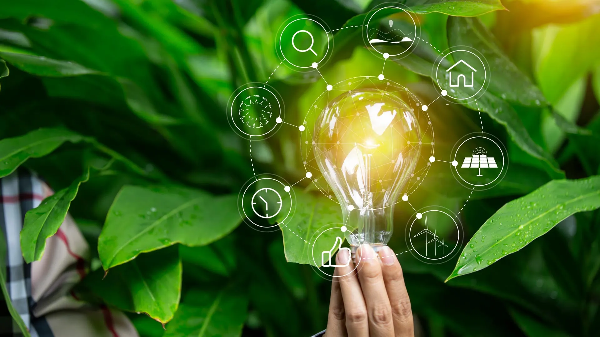 ¿Eres innovador social? Premio Eugenio Garza Sada amplía convocatoria