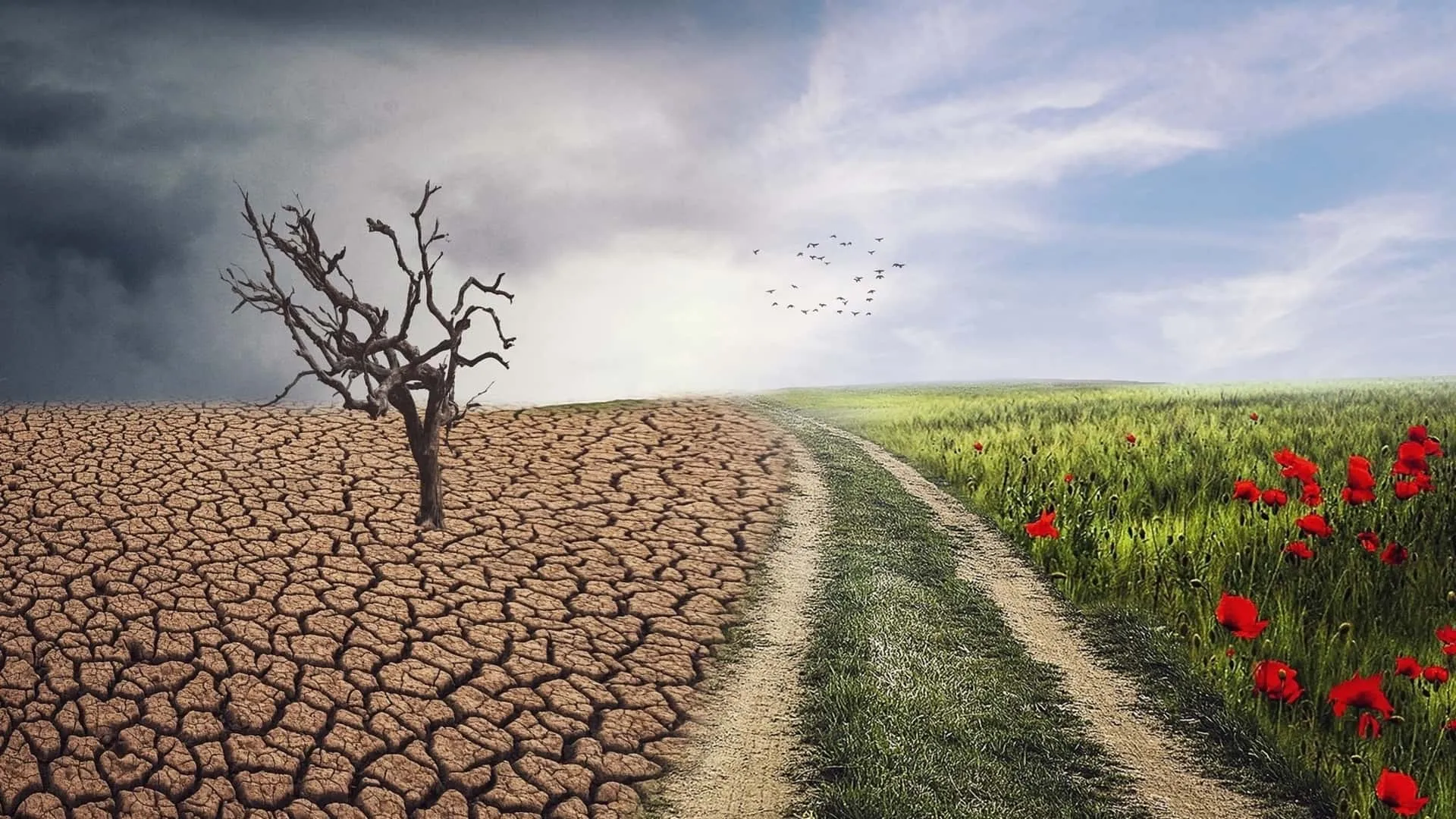 Queda poco tiempo para que el daño sea irreversible