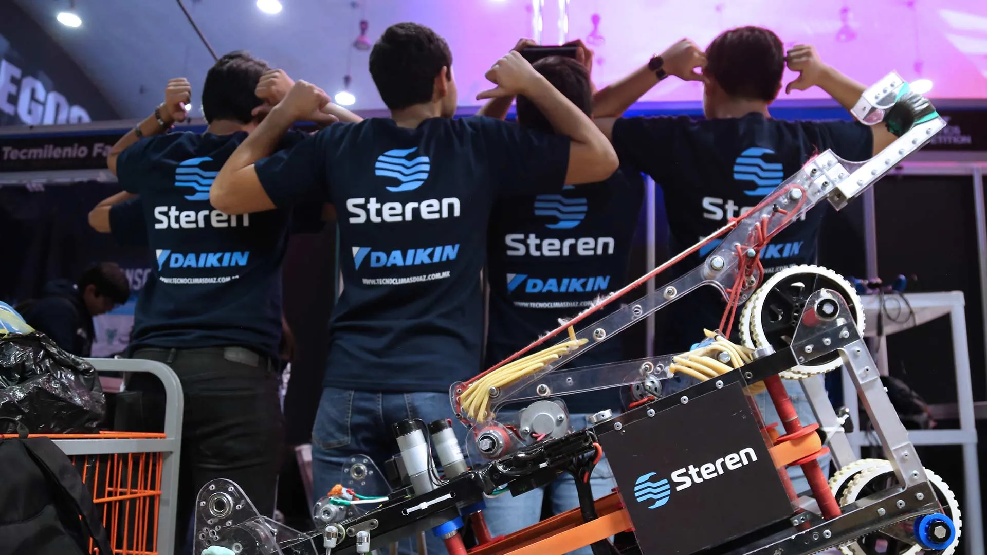 Campeones de región