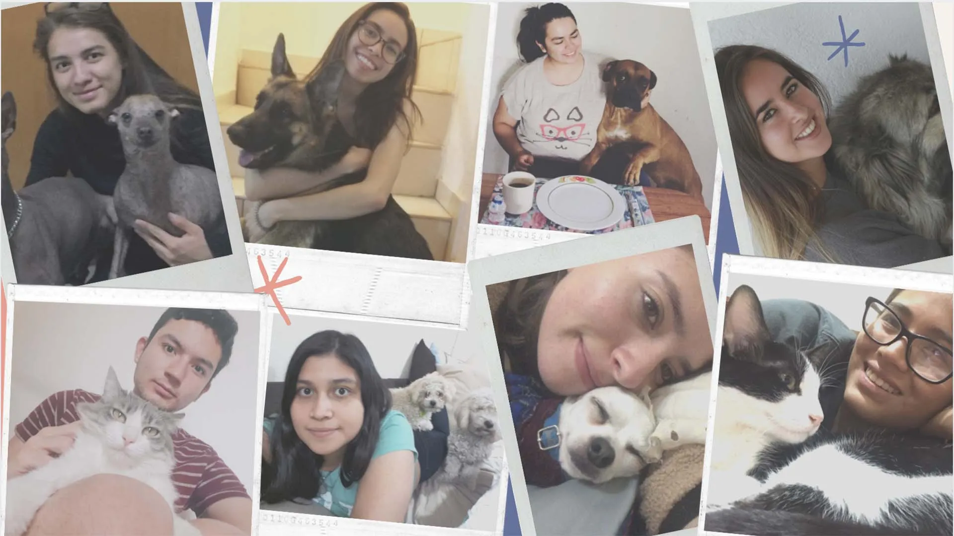 Las mascotas y la cuarentena: cómo ayudarles a sobrellevarla