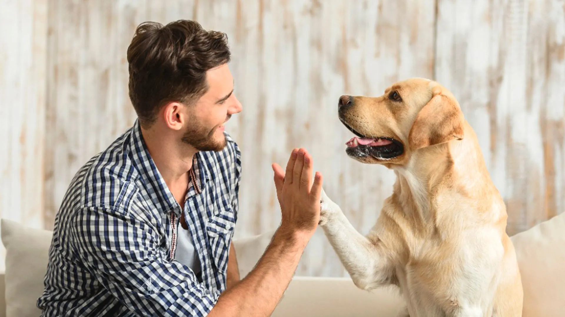 Alumnos de negocios asisten a empresa de mascotas en Irapuato