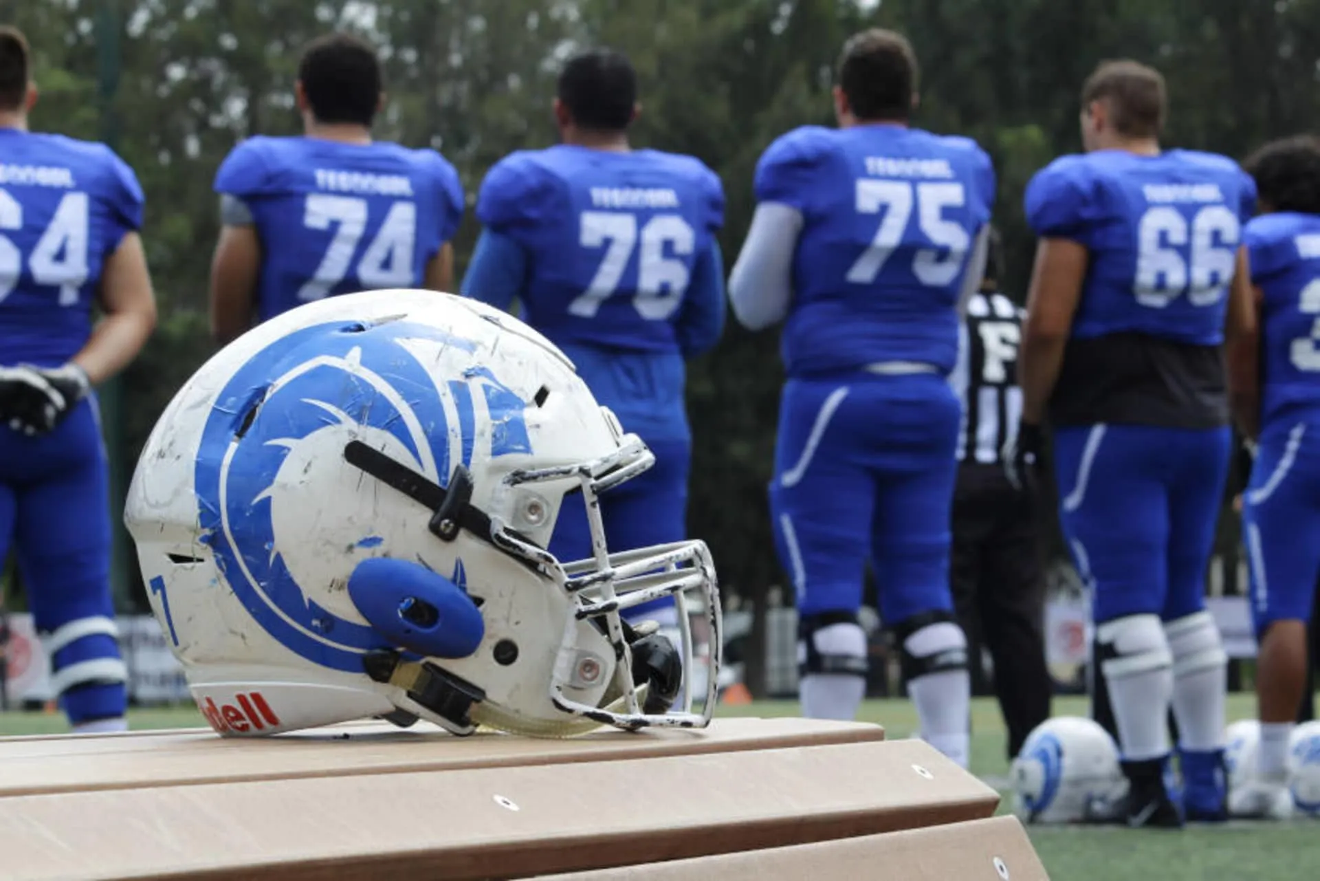 Cierran Borregos Guadalajara Jornada Juvenil 2020 de futbol americano