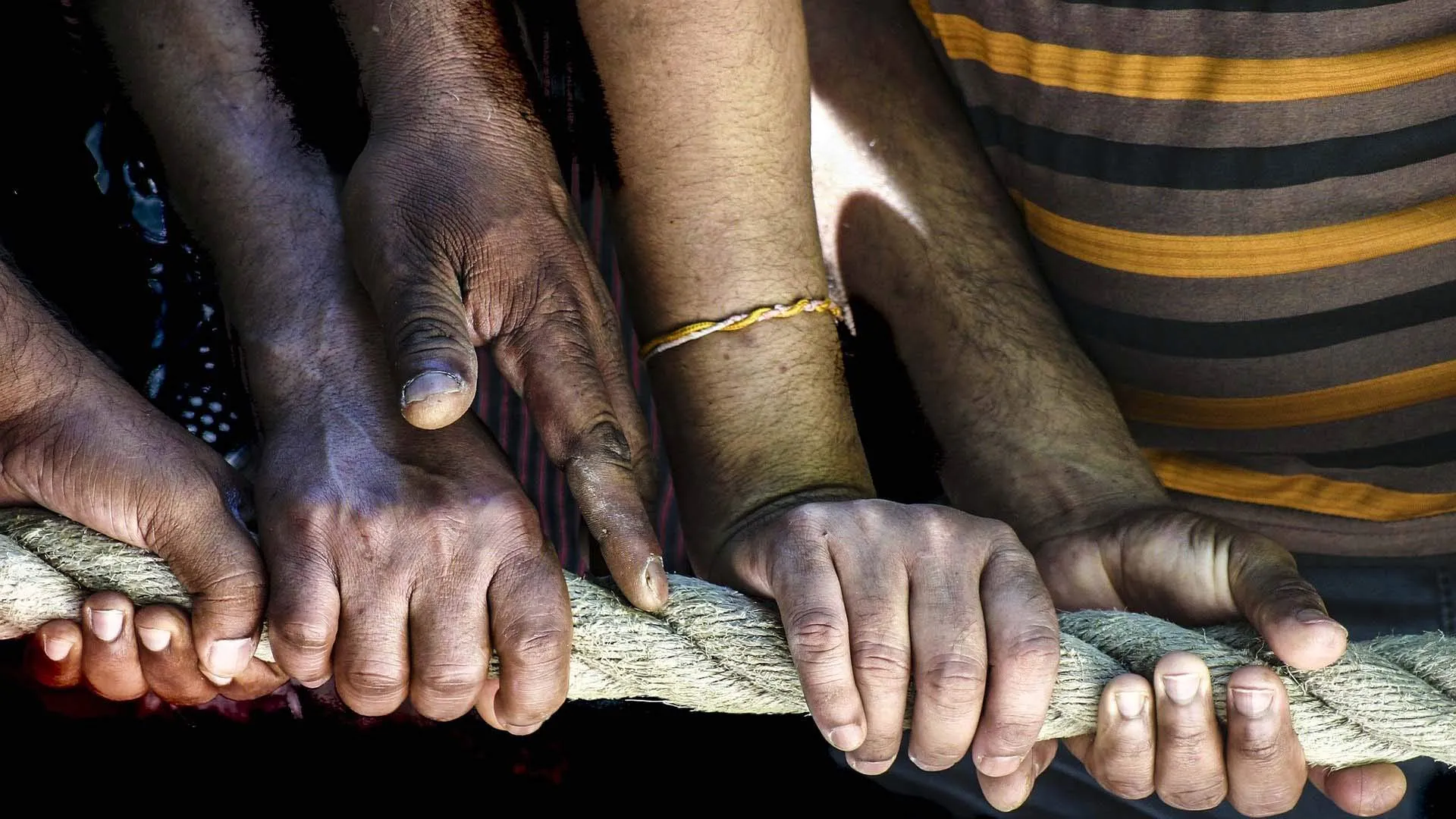 Humanidad y solidaridad