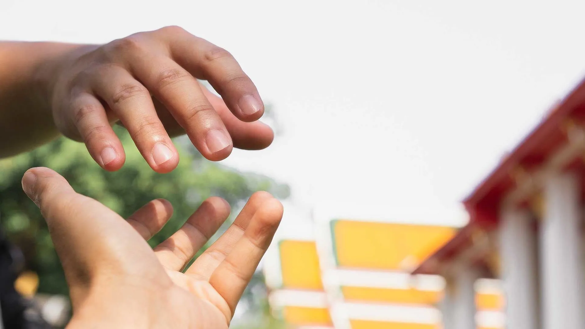 Estudiantes del Tec de Monterrey campus San Luis Potosí ayudan a comunidades de la Huasteca Potosina