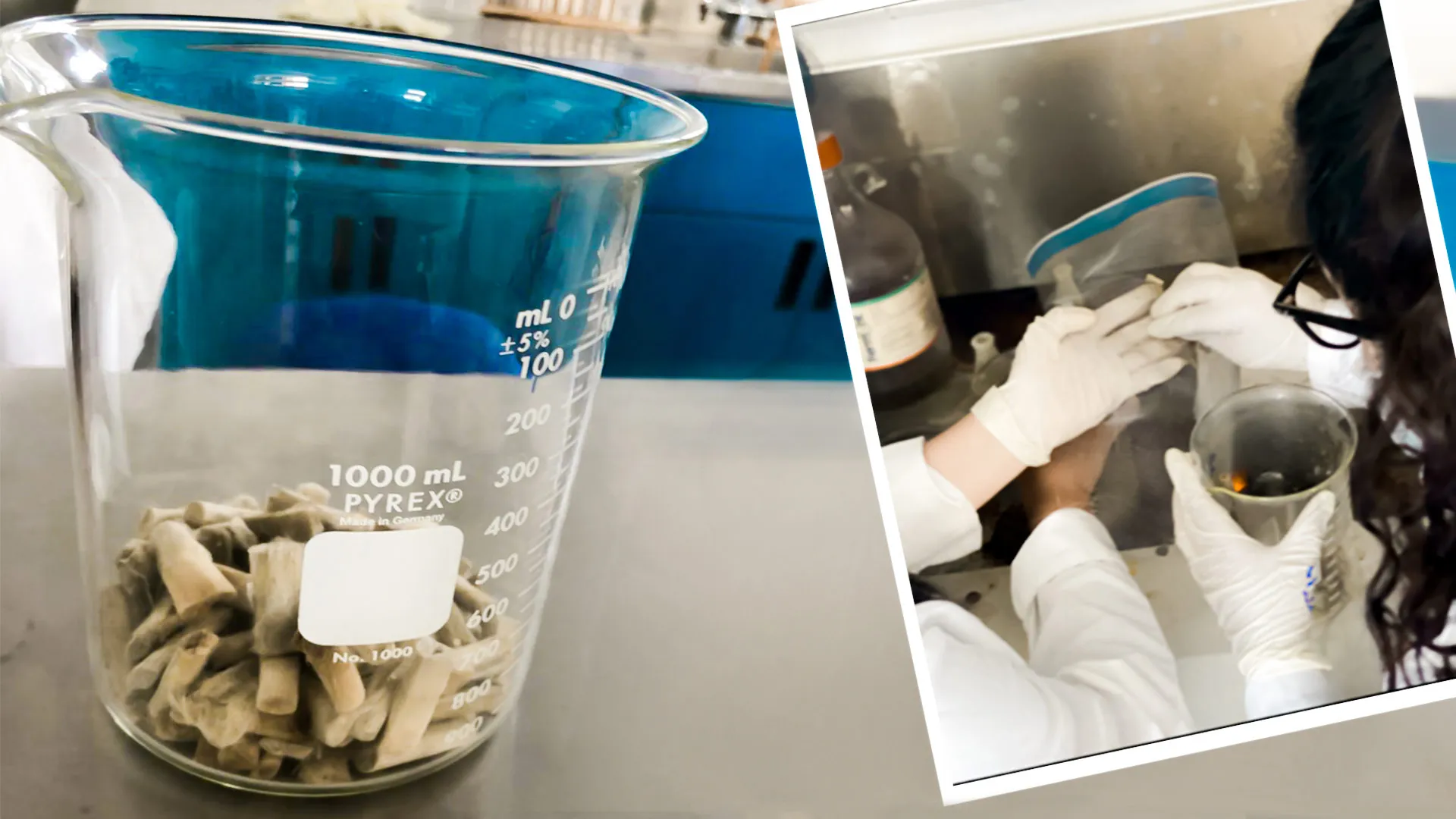 Un pequeño montón de colillas en un recipiente de laboratorio y estudiantes en proceso de transformación.