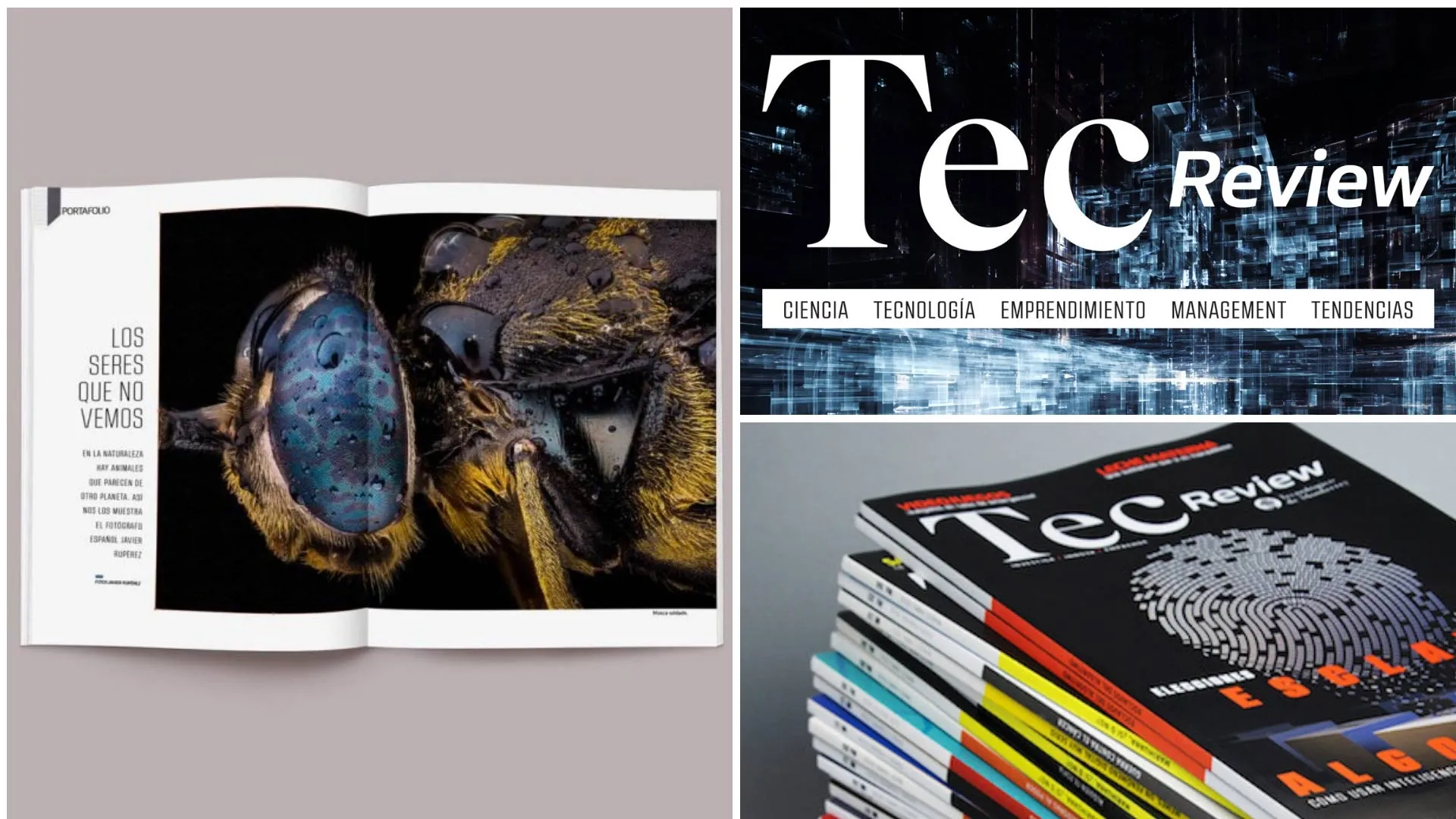 La revista del Tec de Monterrey gana 3 premios CASE Platinum Awards