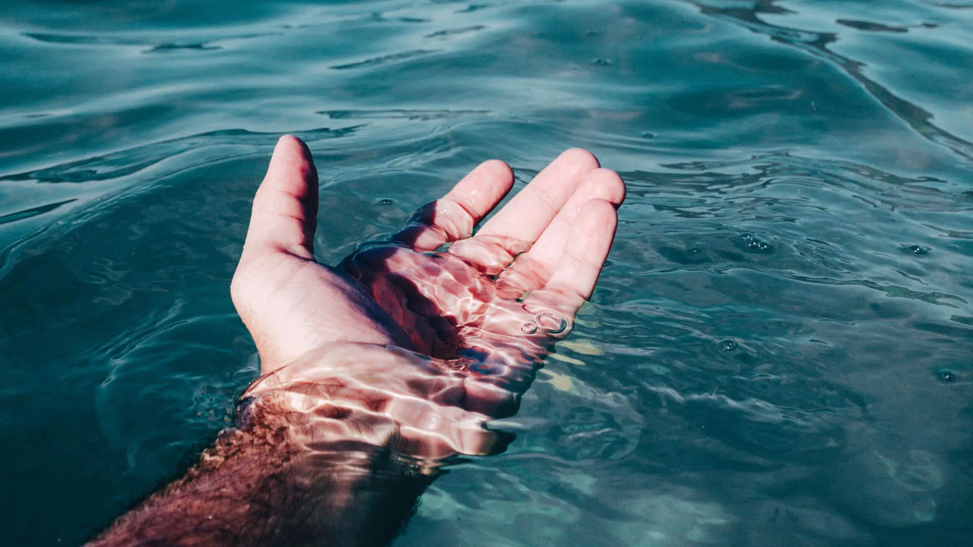 Marea Alta, cuento largo Concurso Creación Literaria