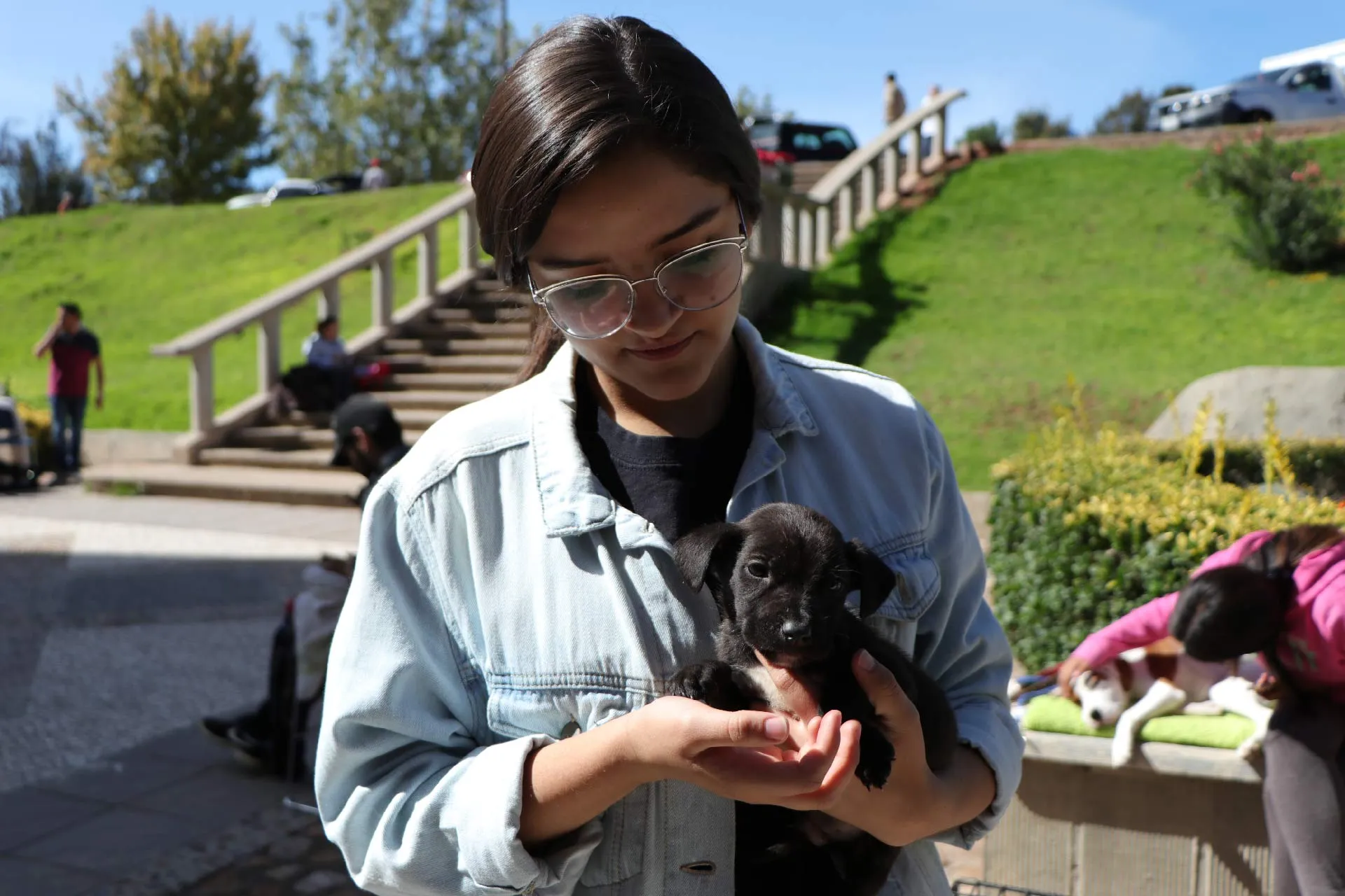 emperratec-es-un-grupo-estudiantil-que-ayuda-animales-tec-monterrey-zacatecas