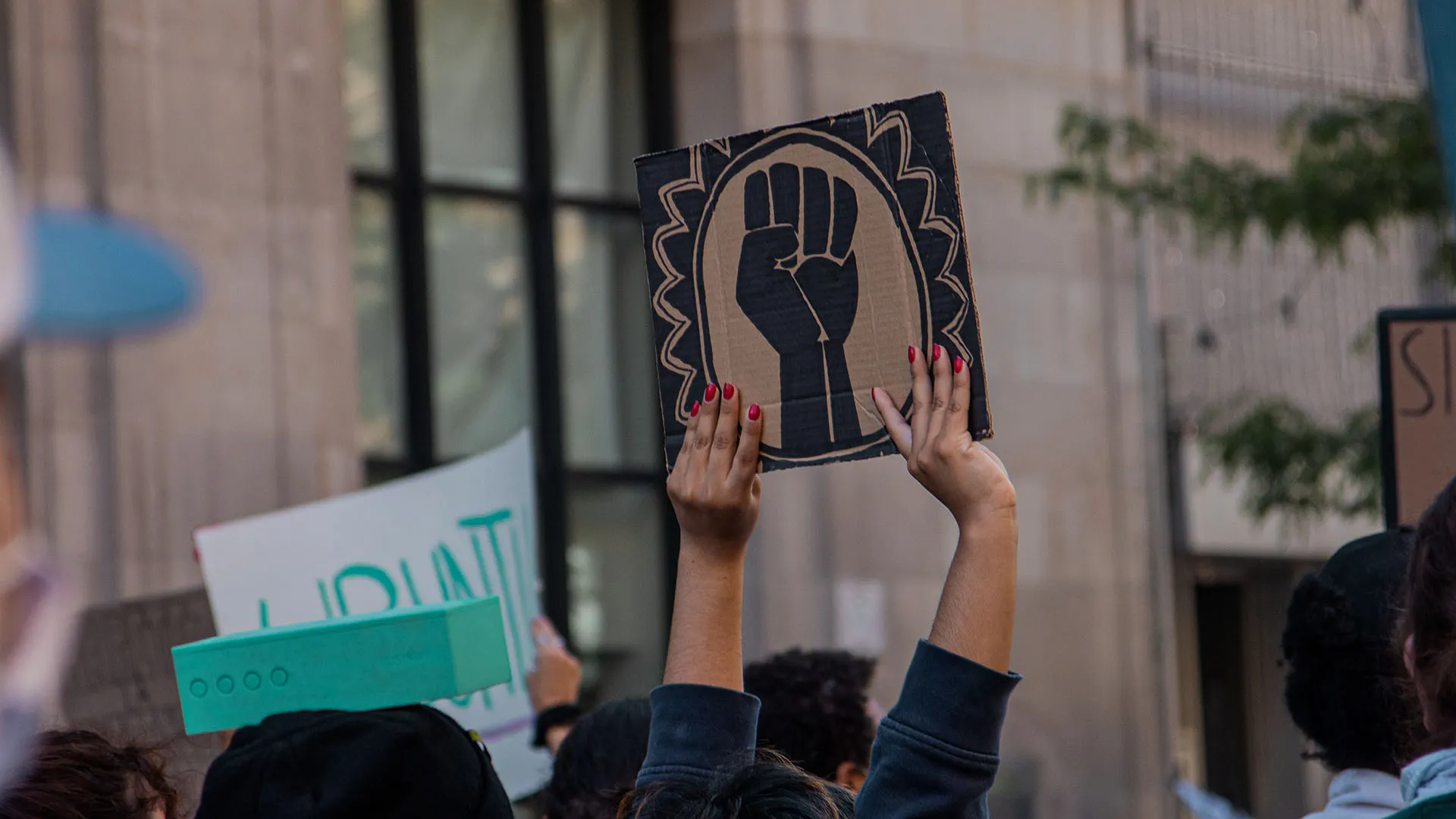 Las redes sociales como medio de protesta, opinión de experto