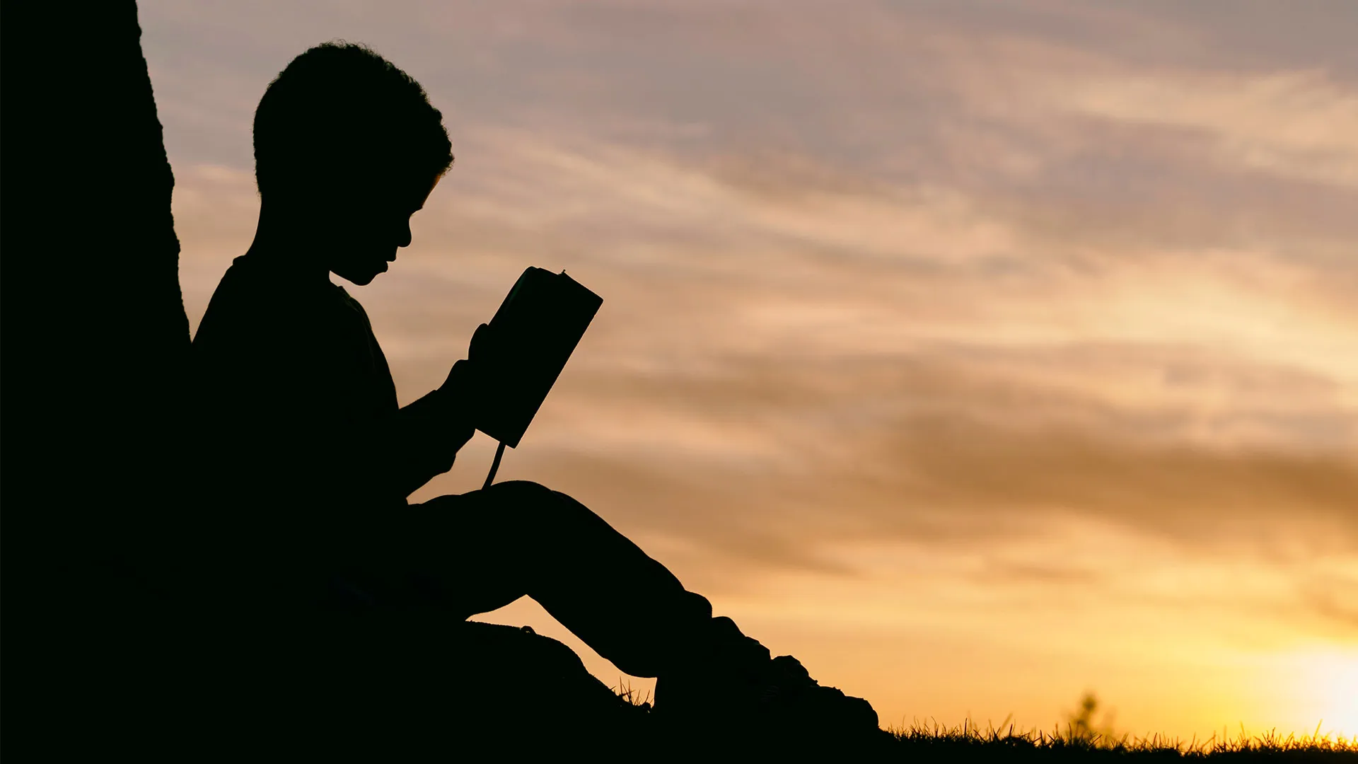 Estudiantes impactan a comunidad de Alcaldía Álvaro Obregón 