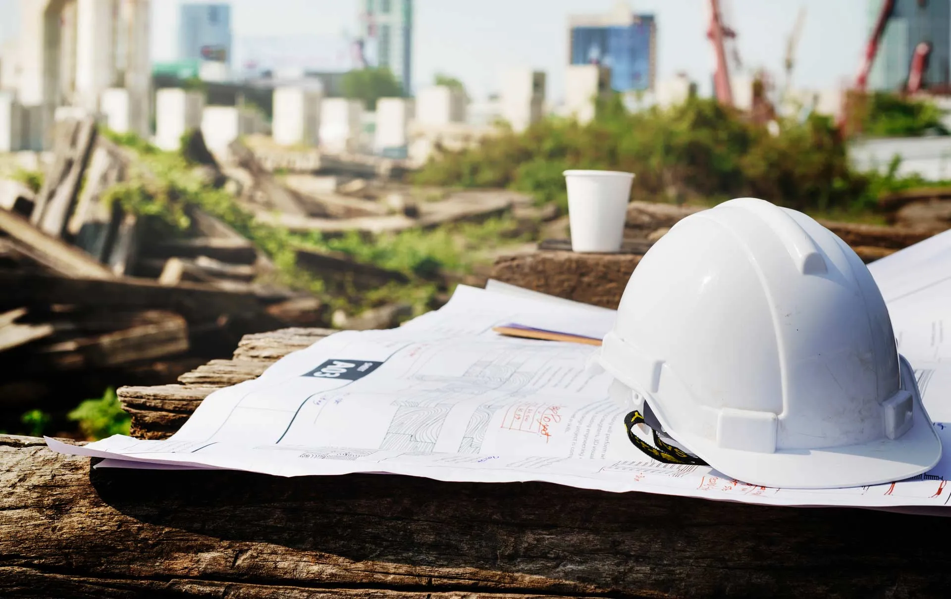 Alumno del Tec de Monterrey obtiene beca internacional STEM