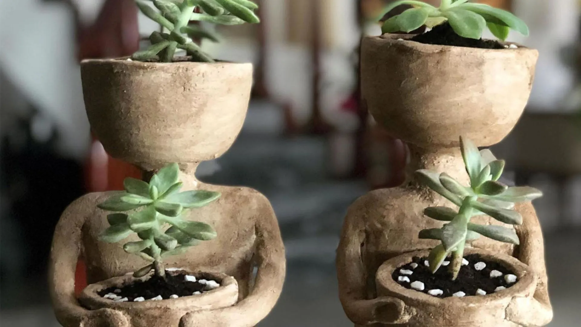 Emprendimiento alumna Comunicación de huertos urbanos