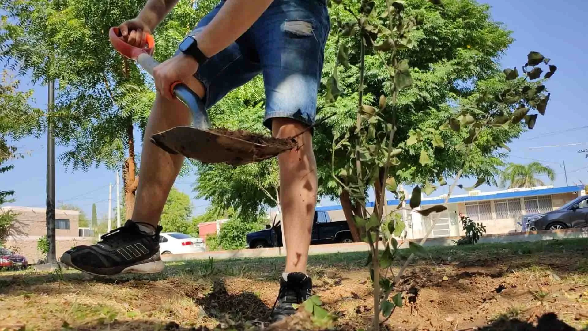 Alumnos del Tec se unen a campaña de reforestación Vuélvete Verde