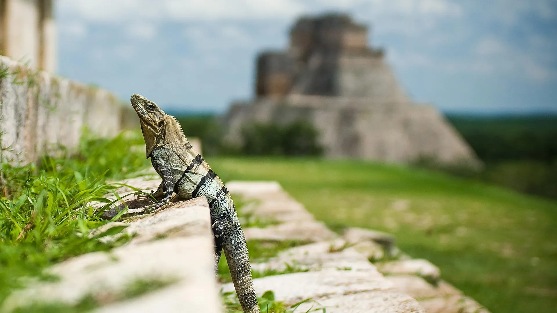 Miatsil, plataforma digital para reactivar el turismo mexicano