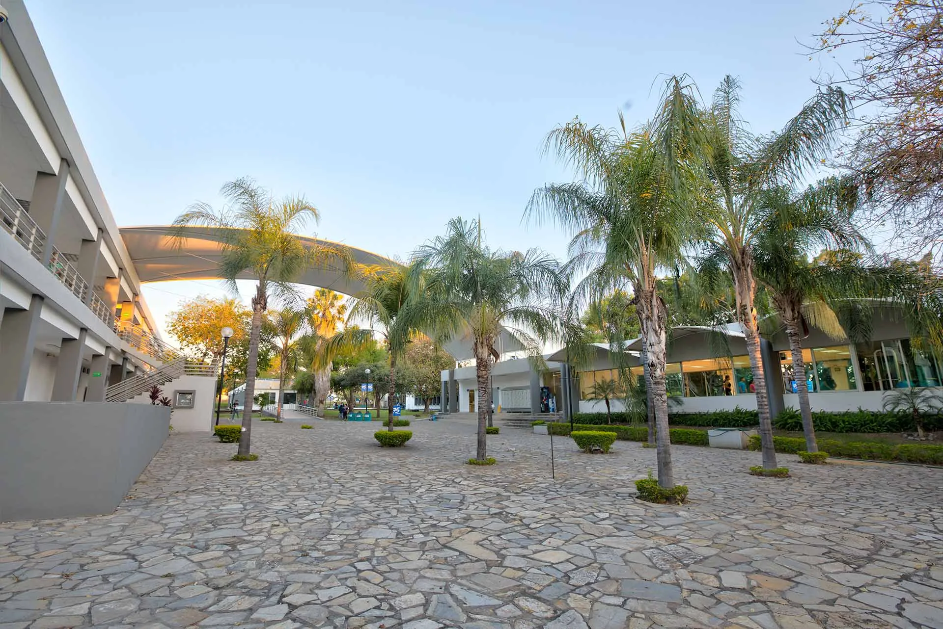 4 décadas de transformar vidas el Tec de Monterrey en Colima 