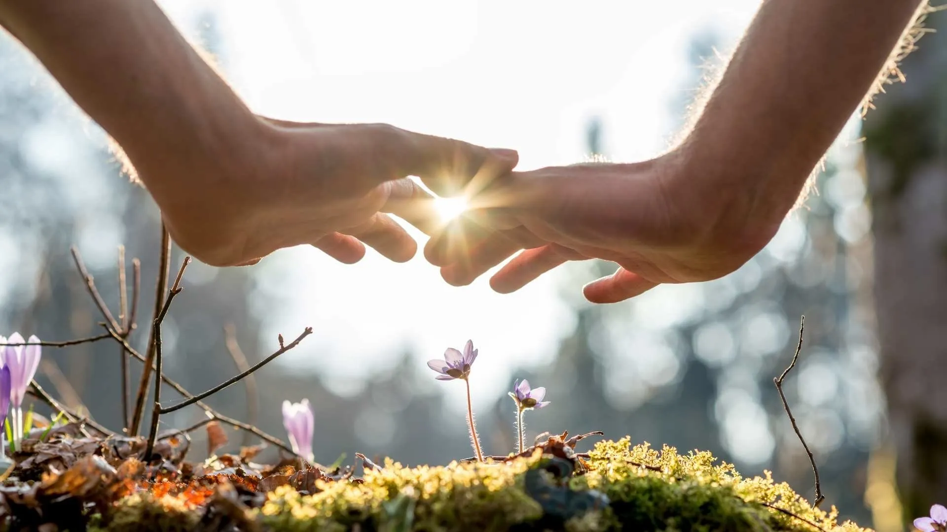 El tiempo poco a poco se acaba sin soluciones reales en medio ambiente