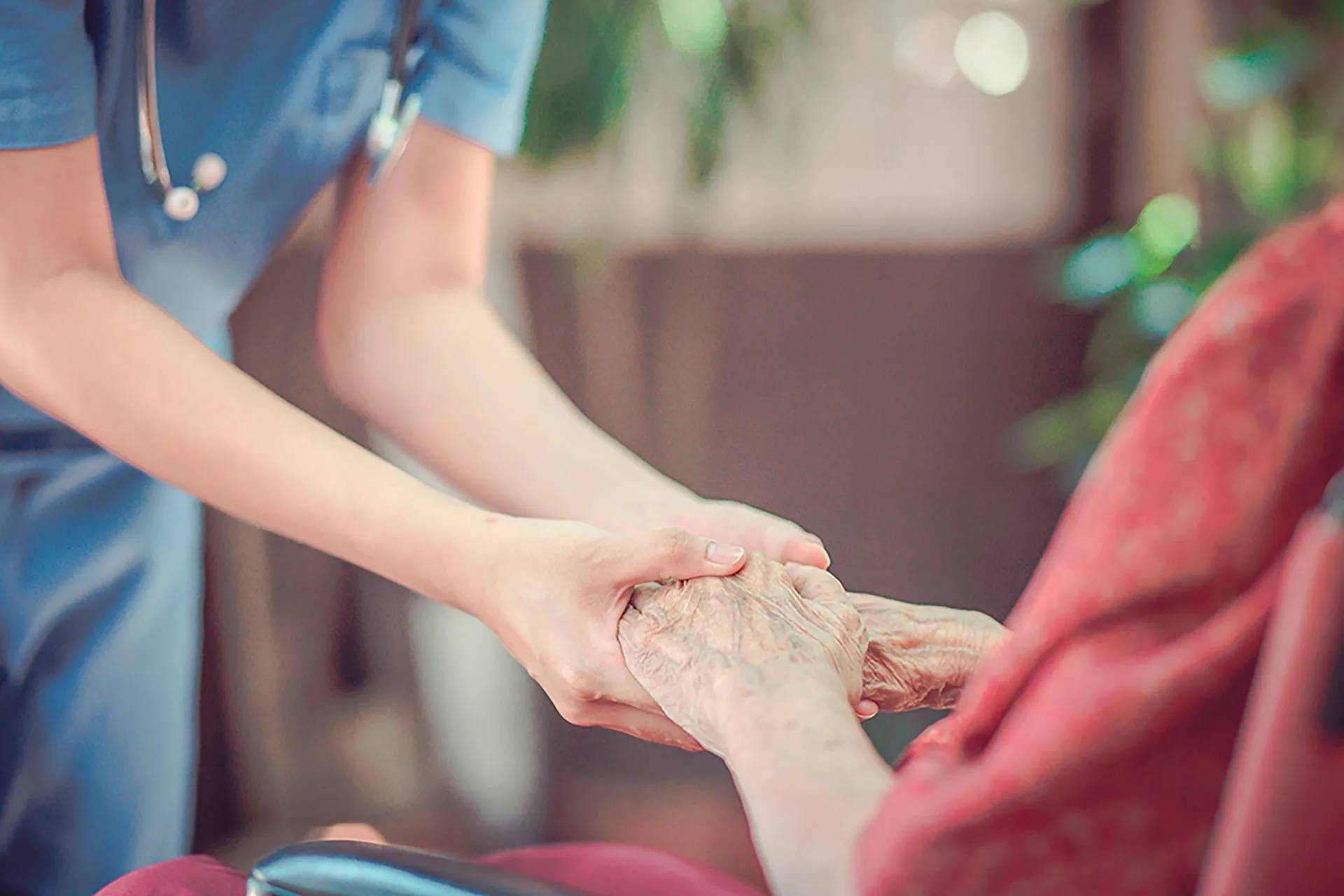 Nutrición geriátrica: profesores Tec escriben el primer libro del tema