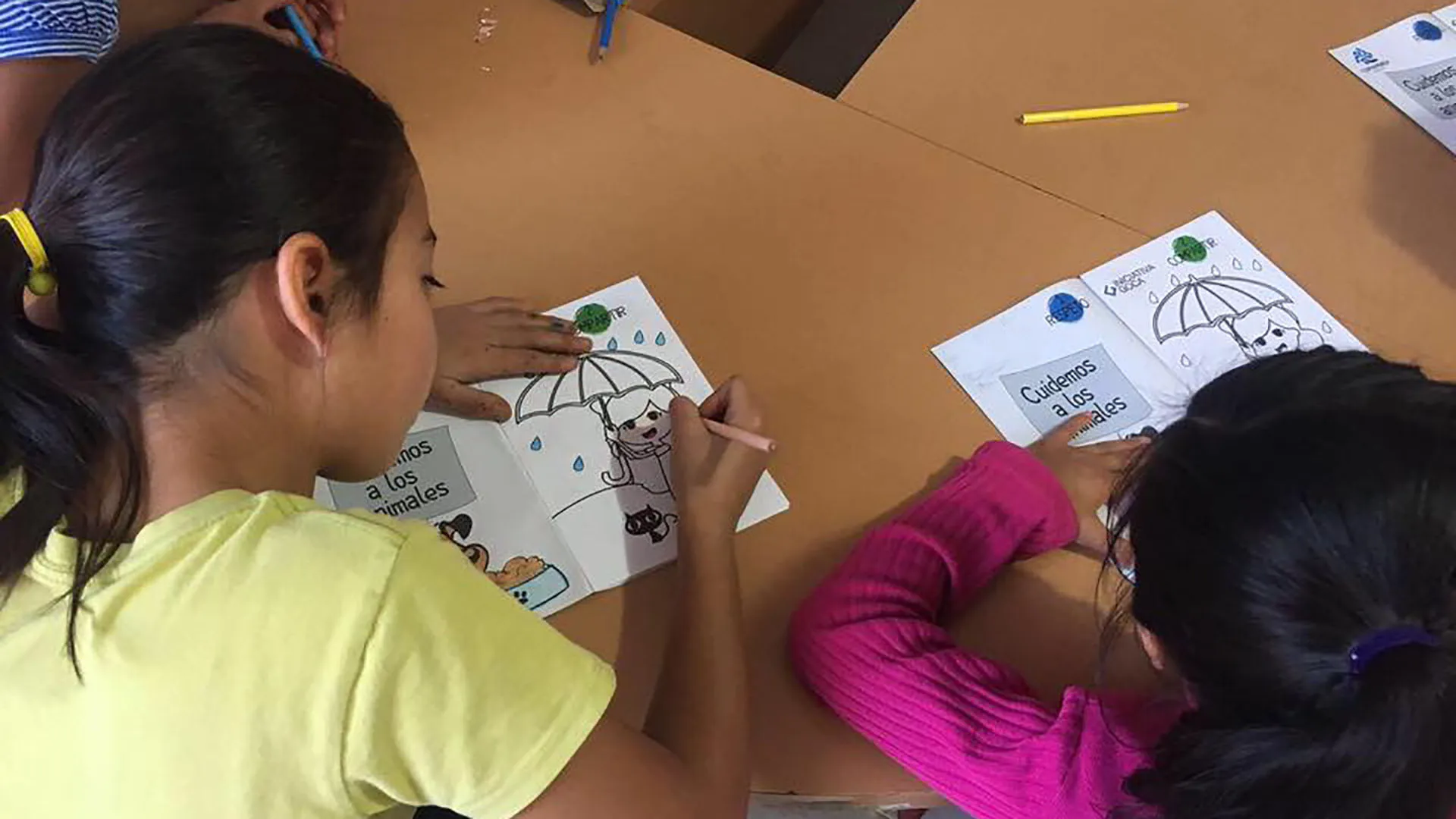 iniciativa-goca-proyecto-estela