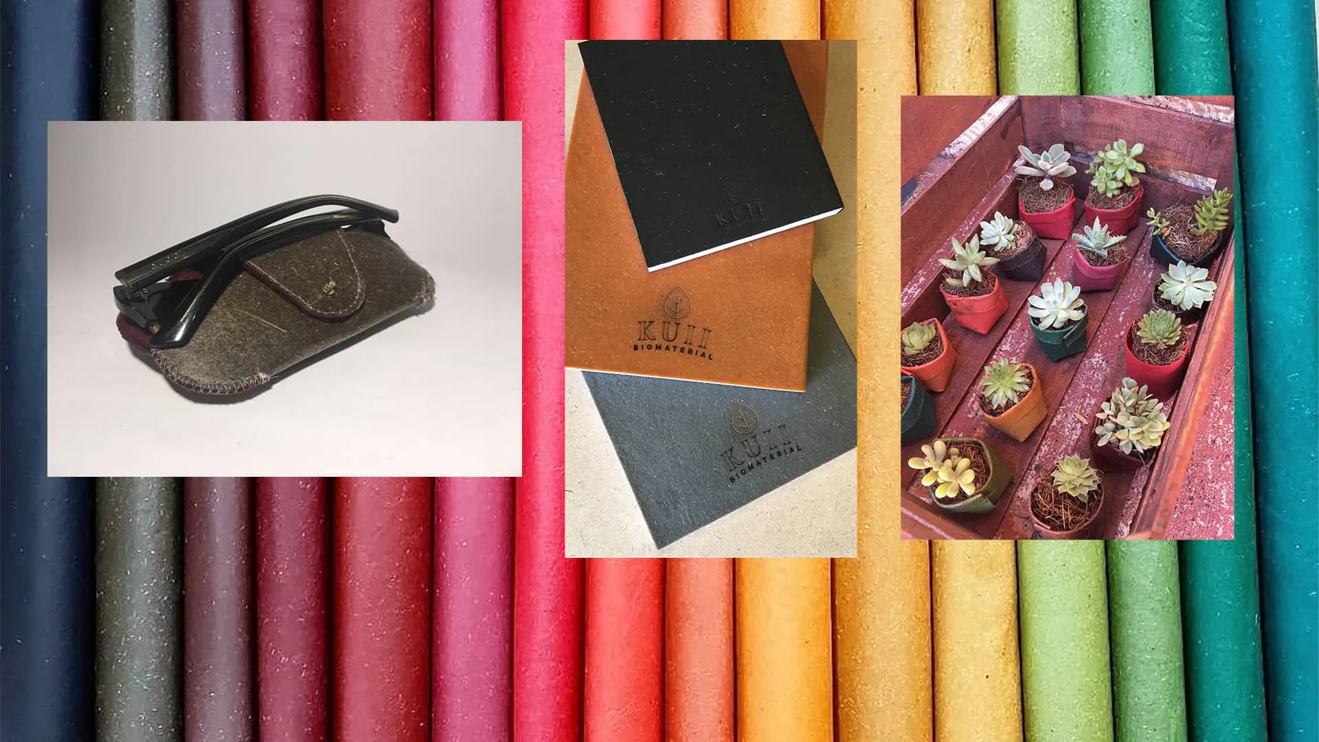 Los biomateriales son muy importantes en la actualidad para cuidar el medioambiente.