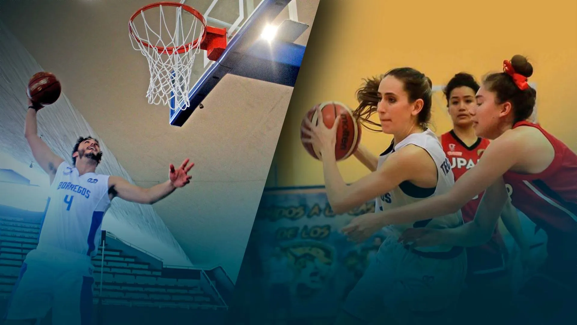 Borregos Monterrey de basquetbol: los mejores en ABE