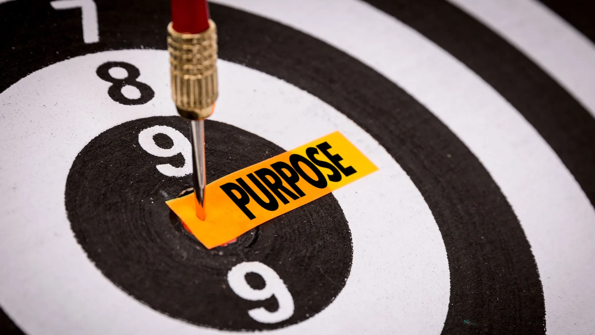 Experto da consejos para que busques tu propósito de vida