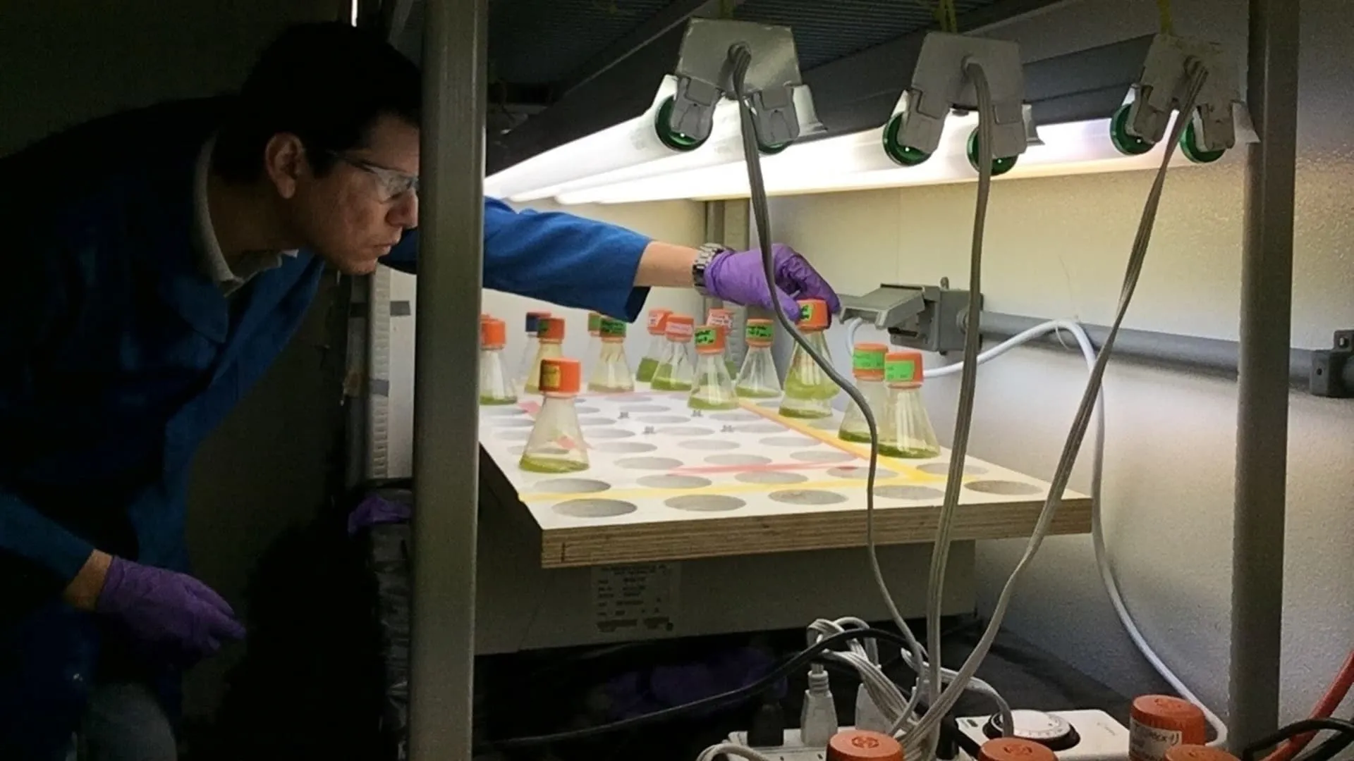 Investigador del Tec dará impulso a proyectos de jóvenes del mundo relacionados con el agua