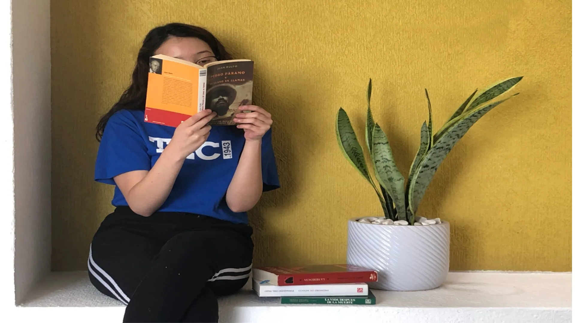 Diez libros que marcaron a México