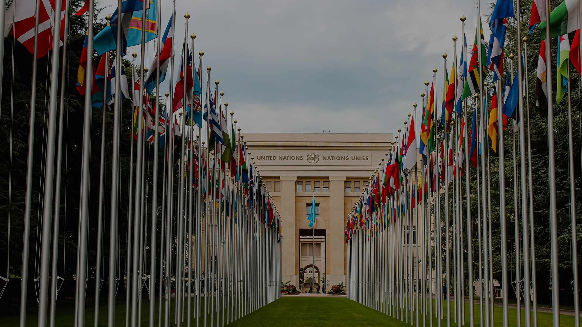 Estudiantes Tec que han conquistado Modelos de Naciones Unidas