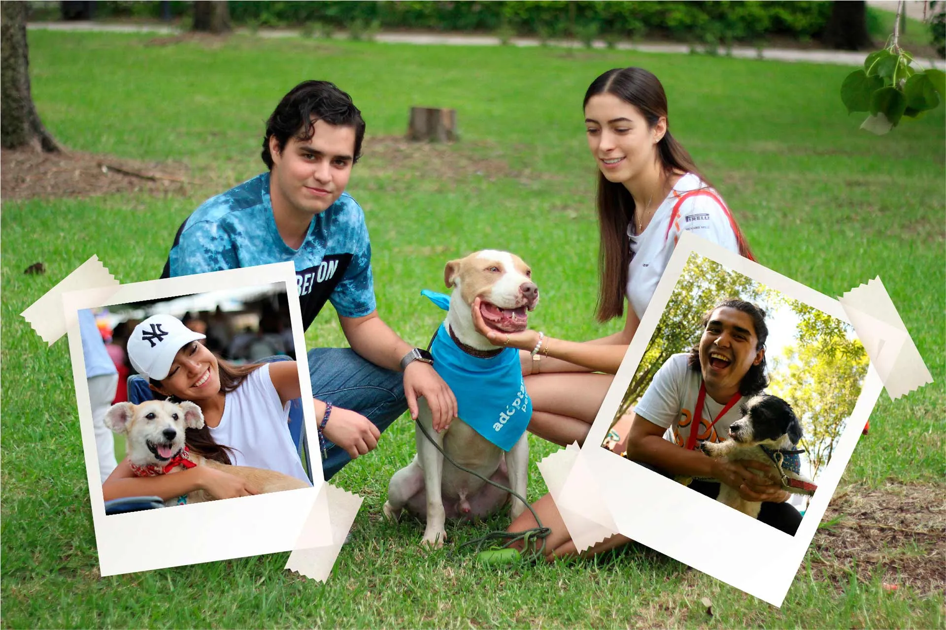 Ponte perro es un grupo estudiantil dedicado a incentivar la adopción de perros callejeros y su esterilización.